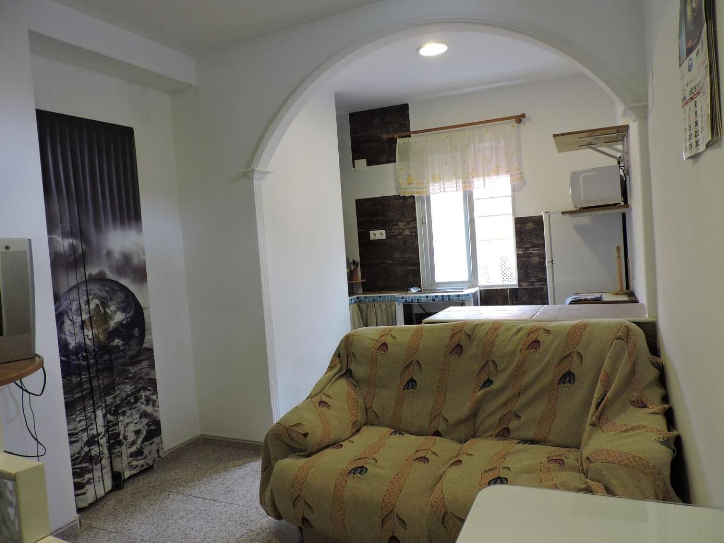 Estudio (1 Adulto)