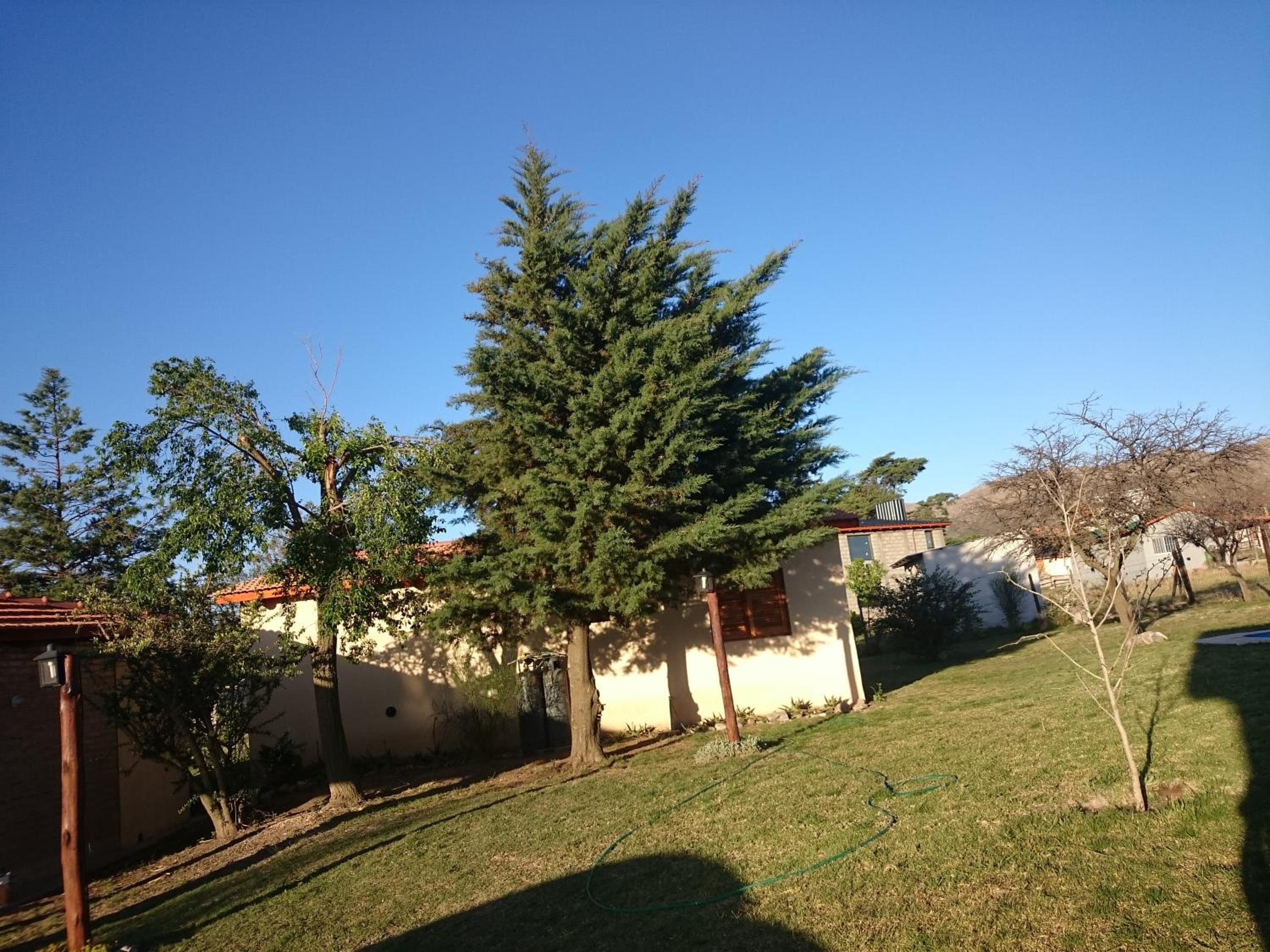 One-Bedroom Bungalow photo 2