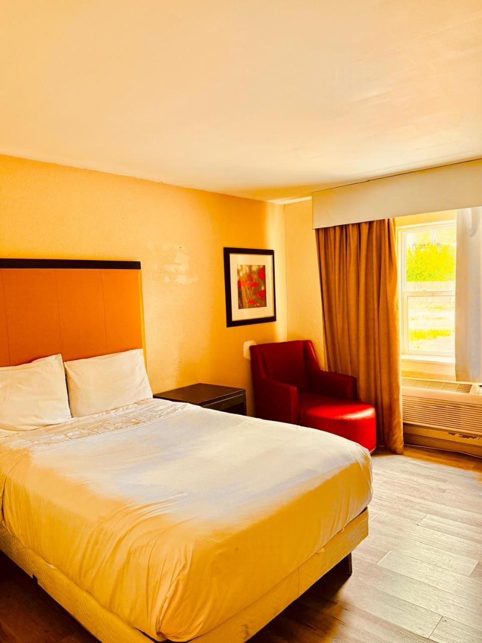 University Inn of Carbondale by Hotel O, Photo 8