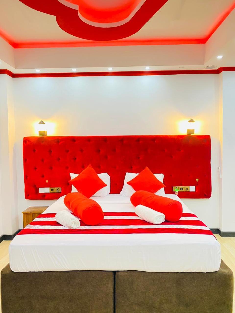 Superior King Room photo 1