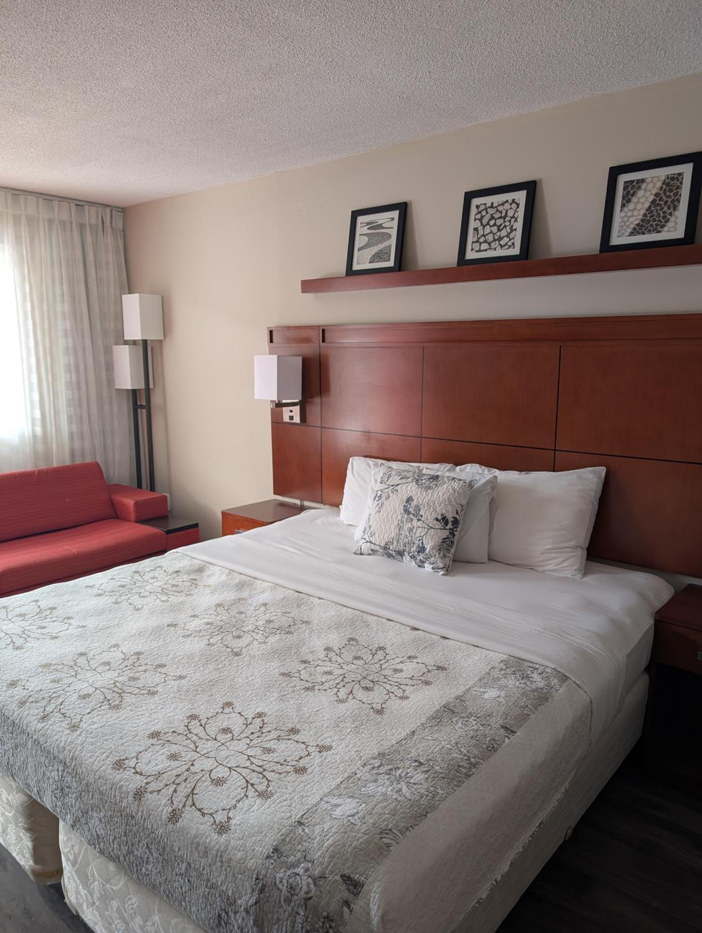 King Room - Photo 2