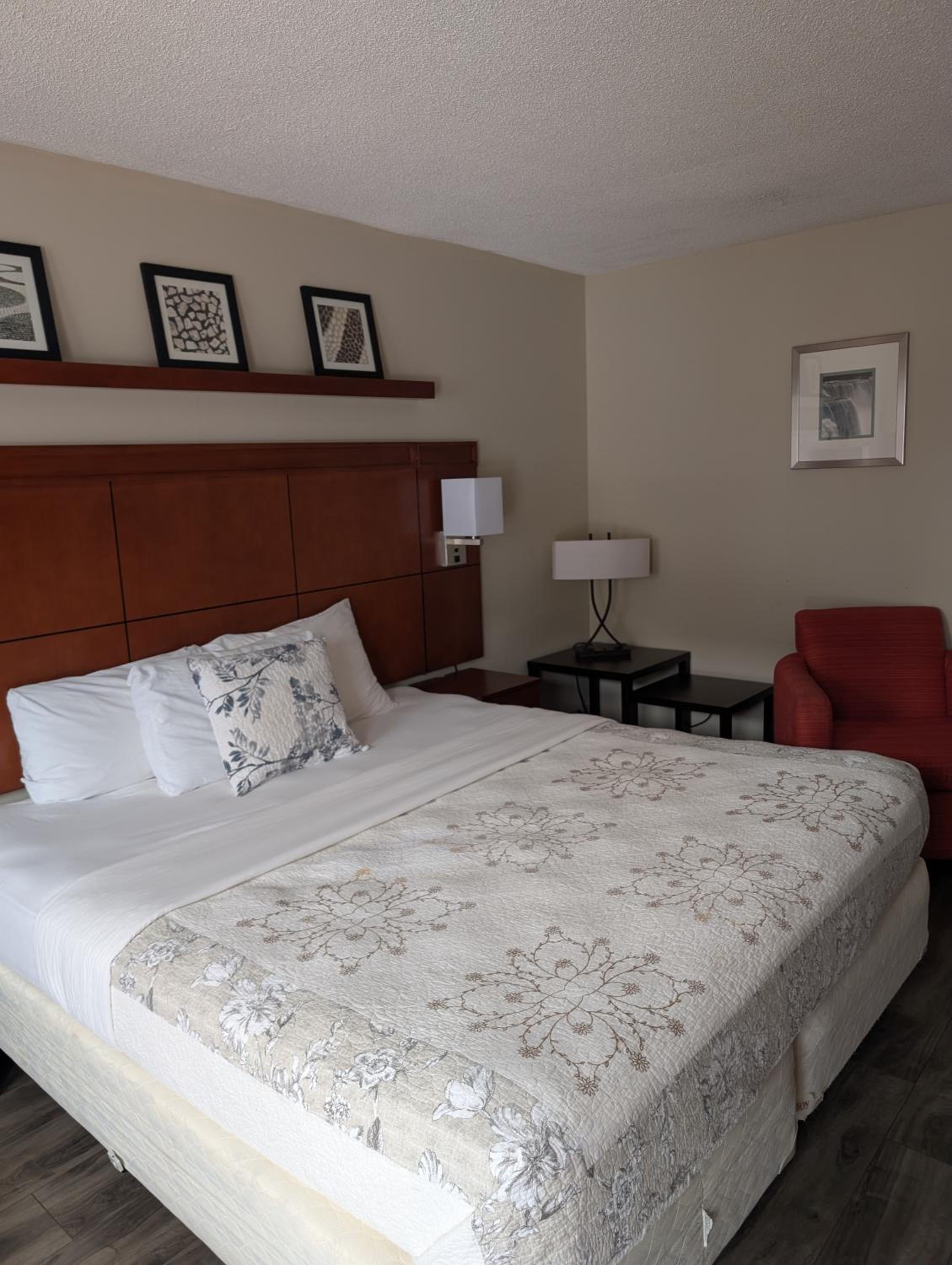 King Room - Photo 1