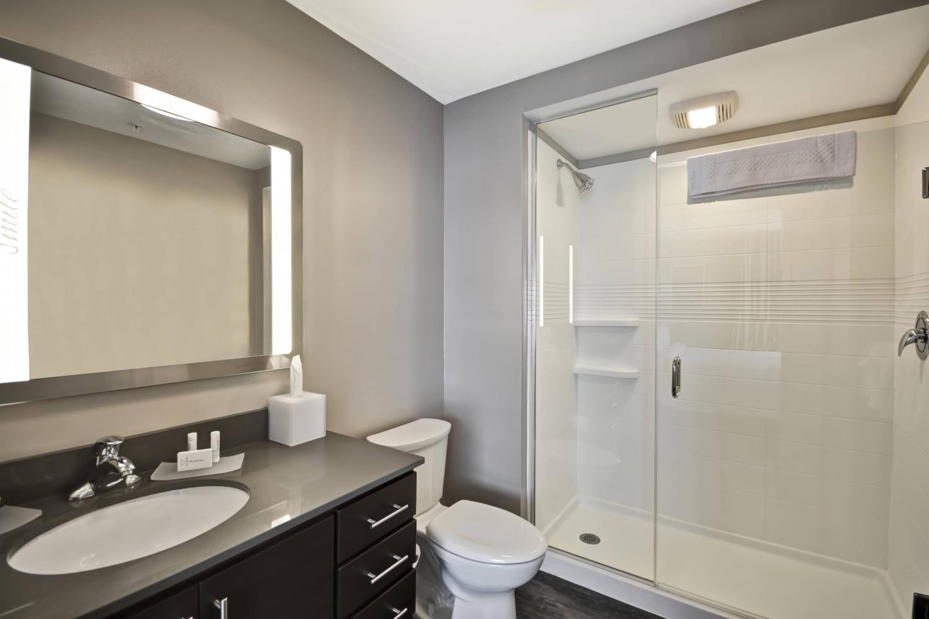 King Studio with Sofa Bed and Roll-in Shower - Mobility and Hearing Accessible