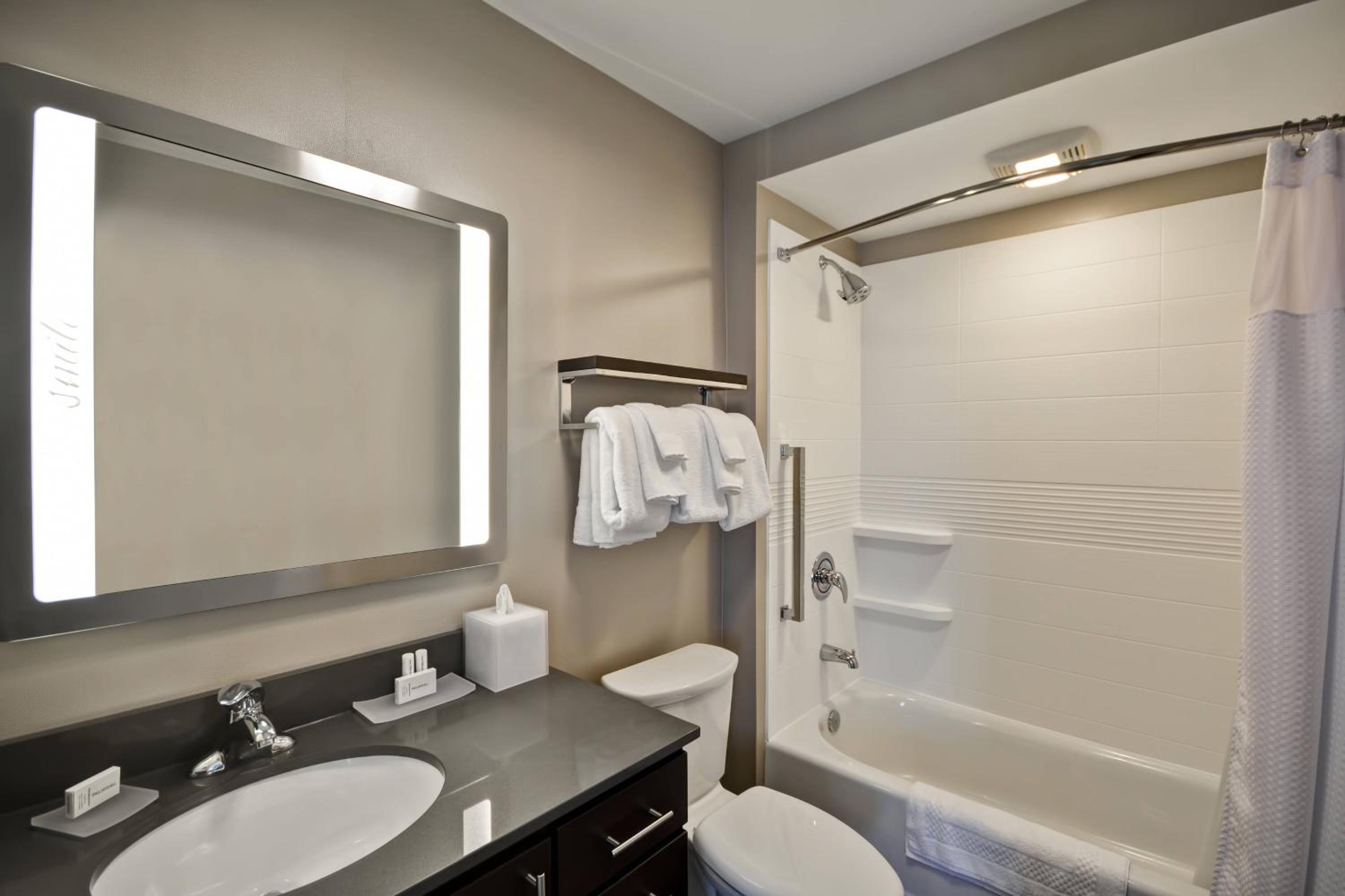 One-Bedroom Queen Suite with Sofa Bed and Adapted Tub - Mobility and Hearing Accessible