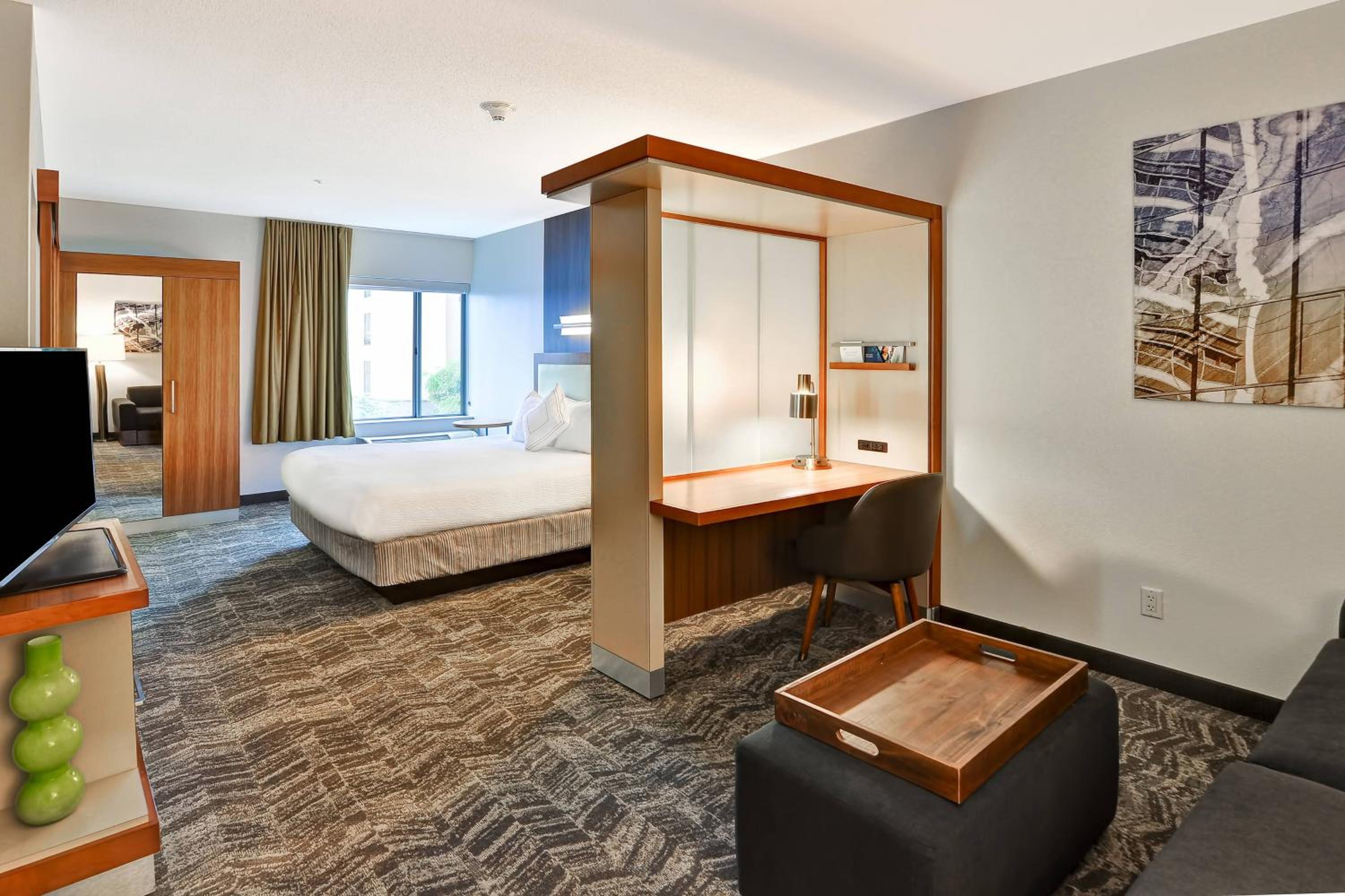 King Suite with Transfer Shower, Bathtub and Trundle Sofa - Mobility Access/Hearing Accessible - Photo 4
