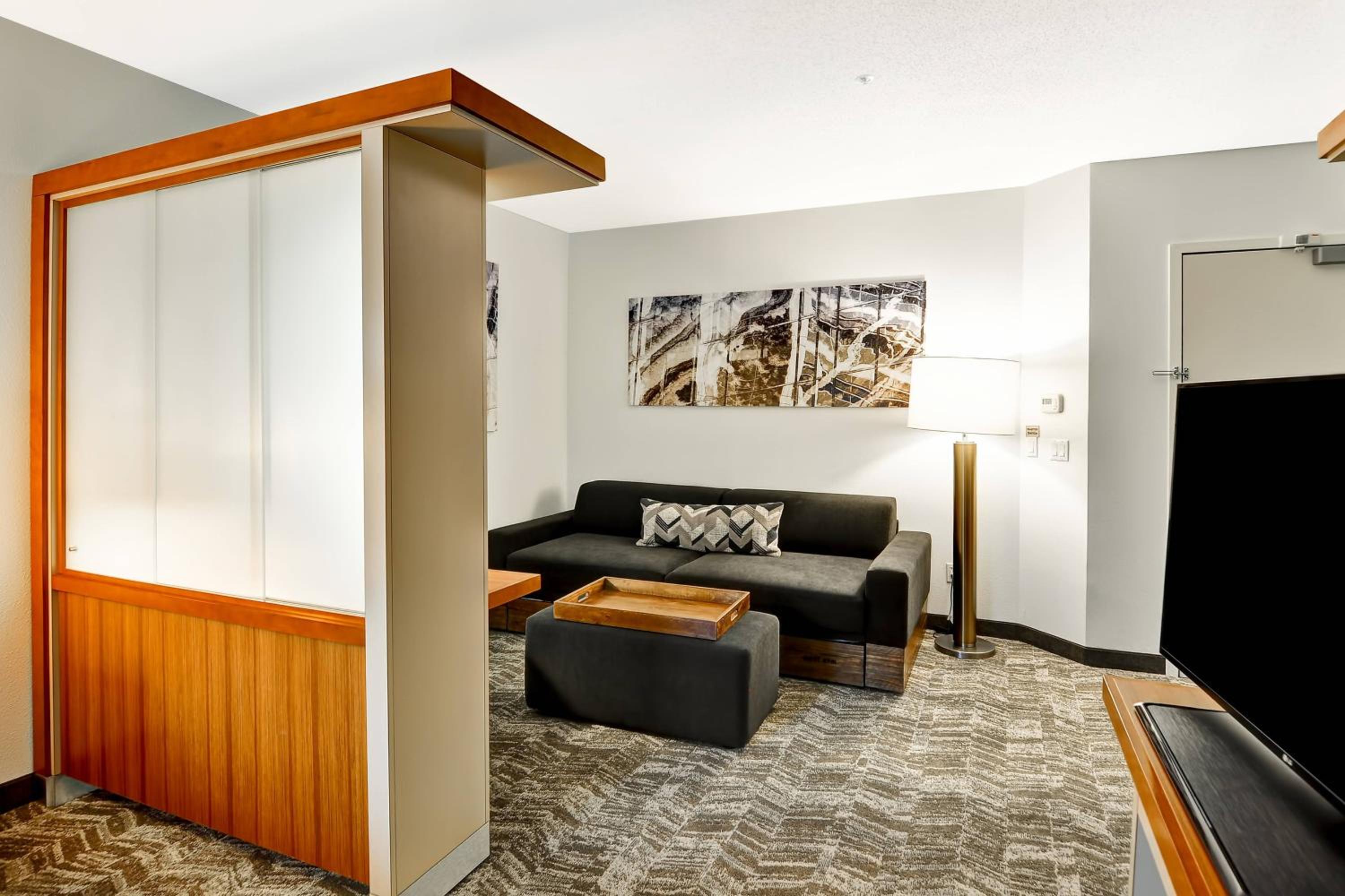 King Suite with Transfer Shower, Bathtub and Trundle Sofa - Mobility Access/Hearing Accessible - Photo 2
