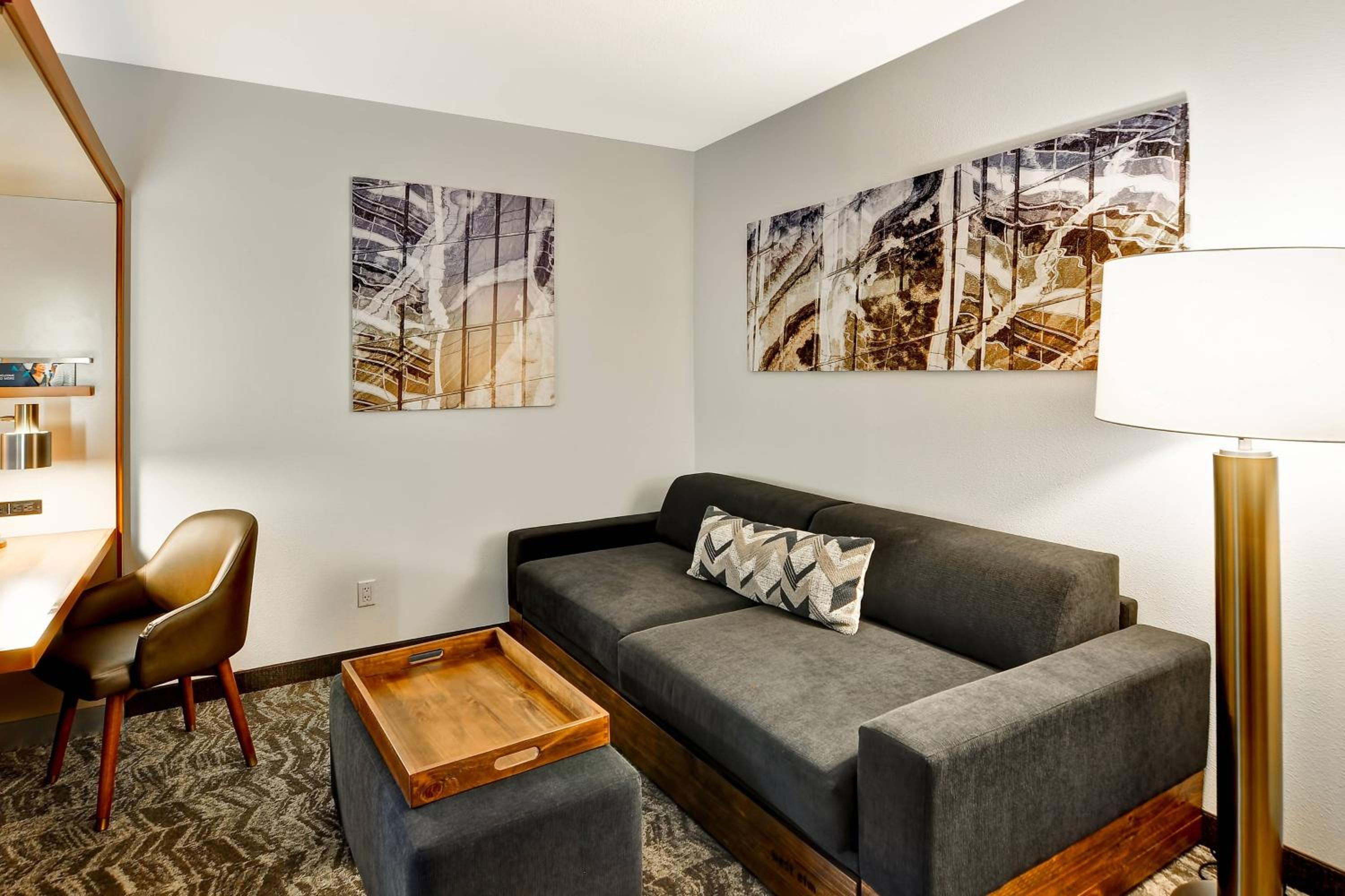 King Suite with Transfer Shower, Bathtub and Trundle Sofa - Mobility Access/Hearing Accessible - Photo 3