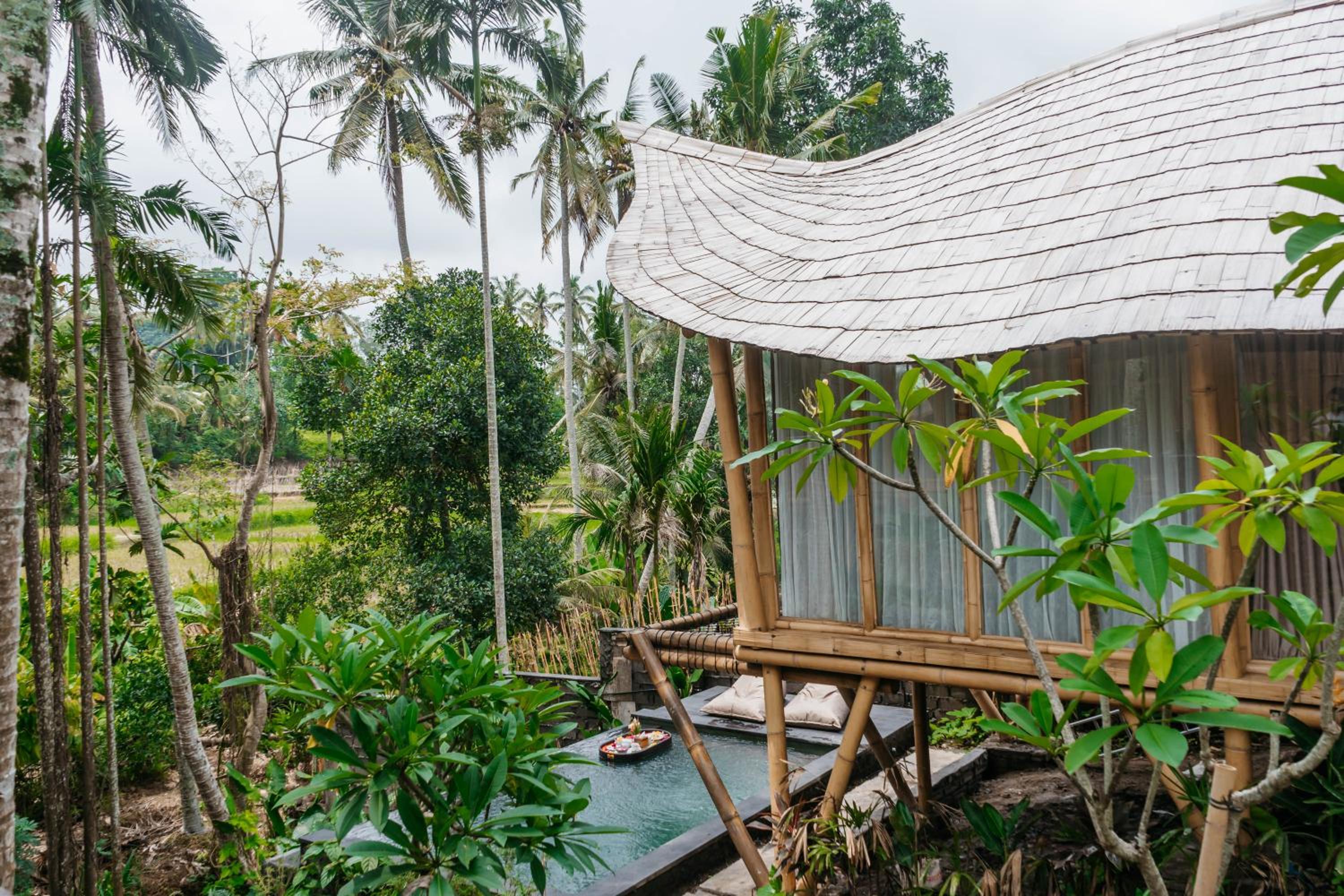 One-Bedroom Bamboo Pool Villa photo 1