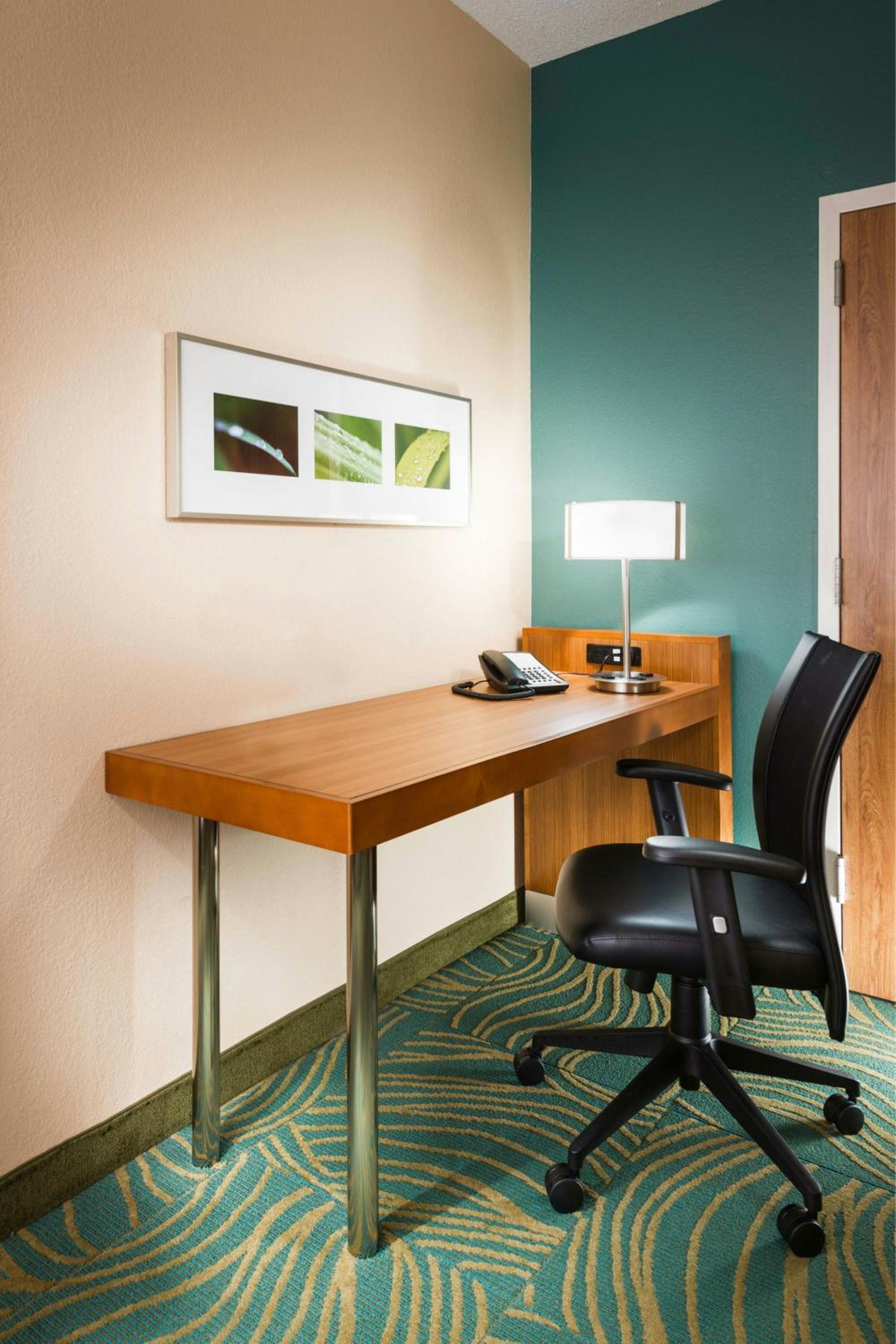 Queen Suite with Sofa Bed and Roll-in Shower - Mobility and Hearing Accessible photo 1