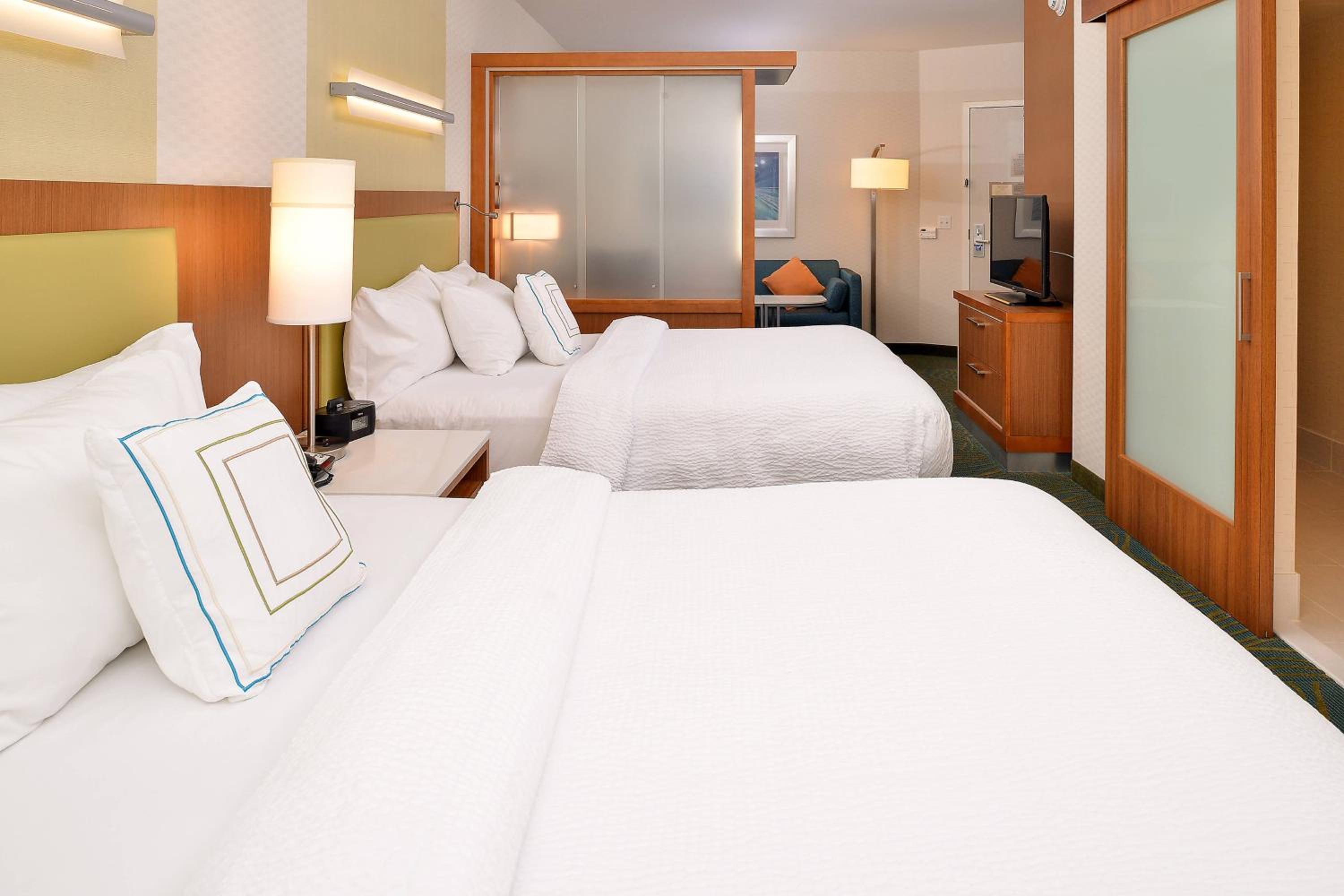 Queen Studio with Sofa Bed and Roll-in Shower - Mobility Accessible photo 2