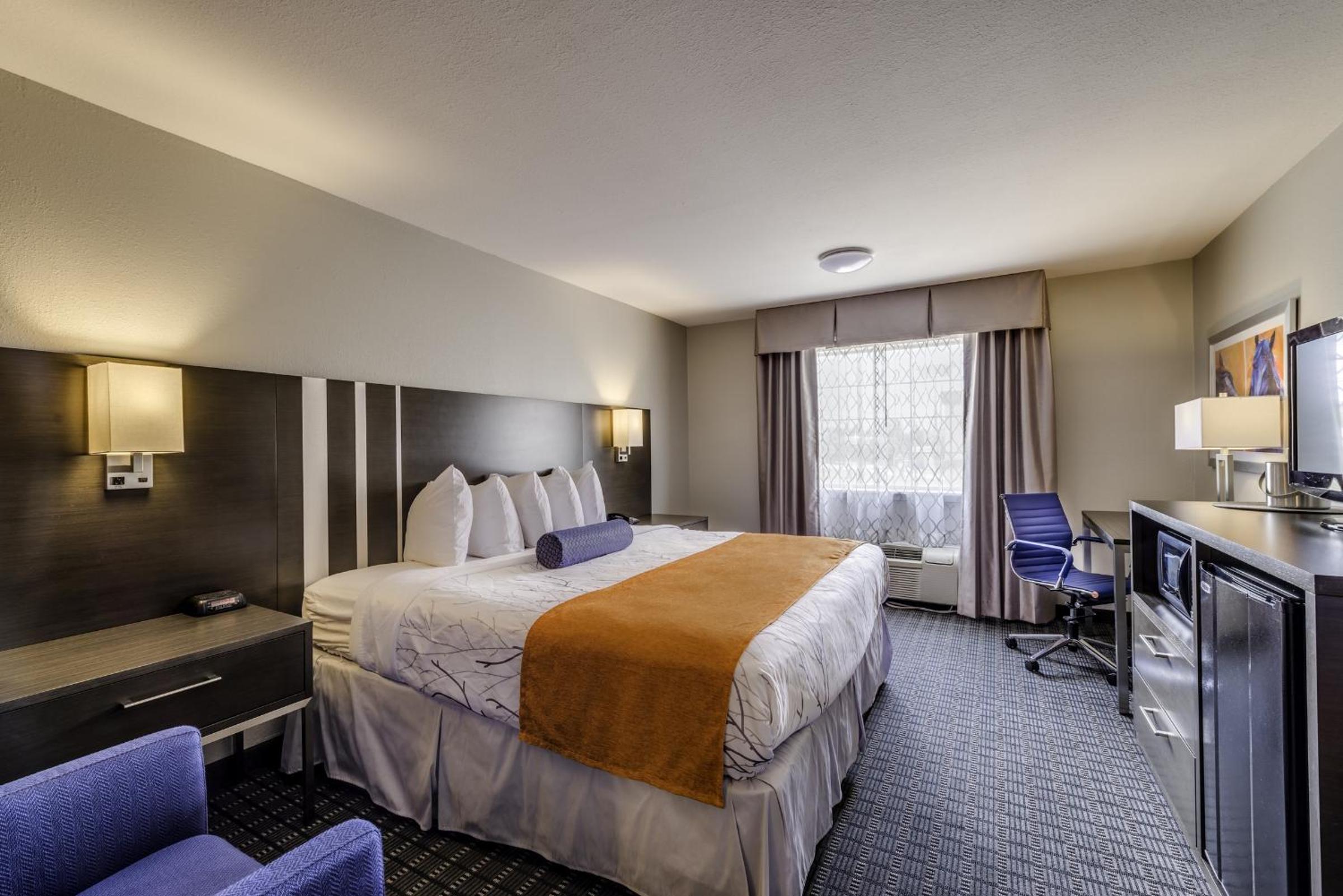 King Room - Photo 1