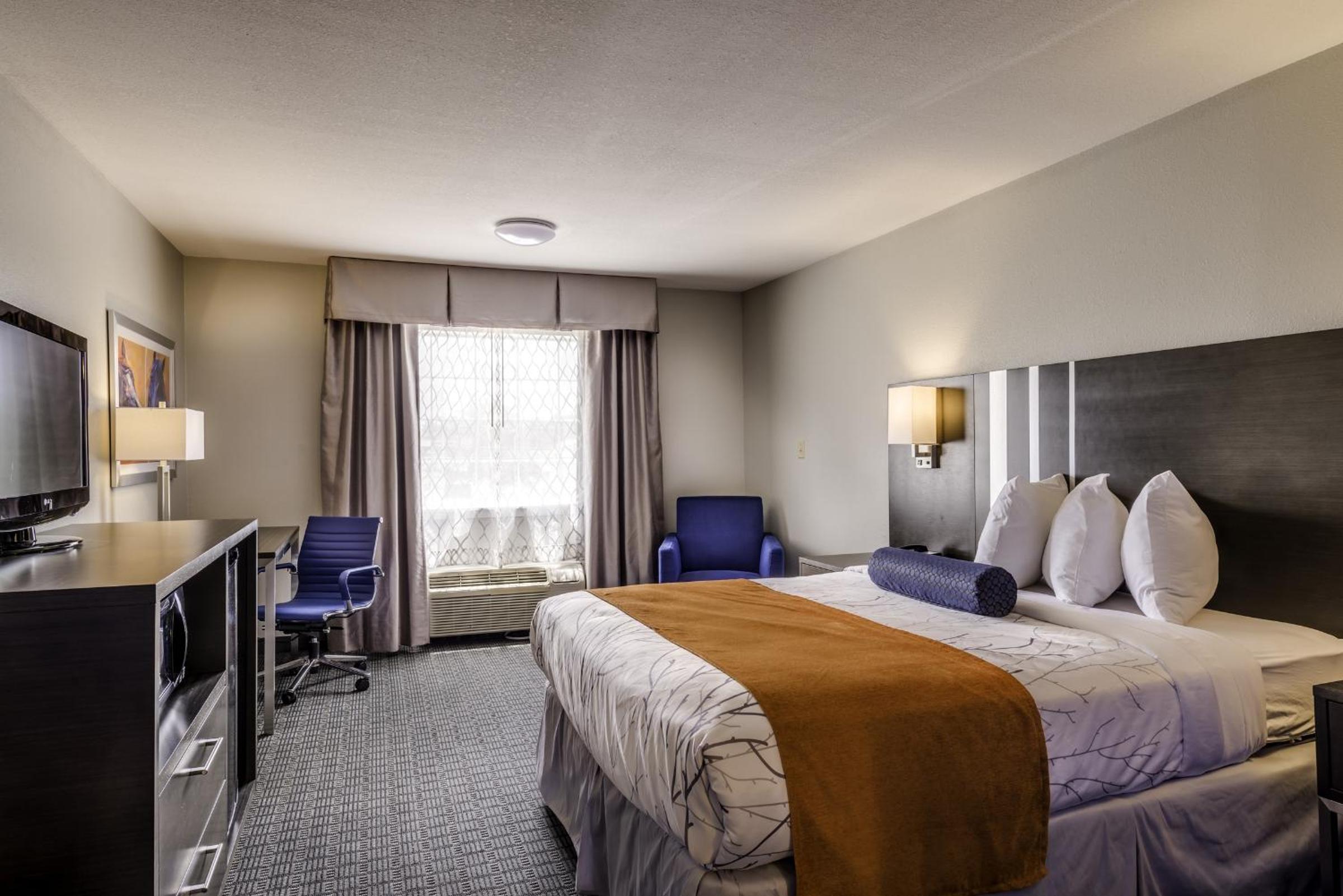 King Room - Photo 2