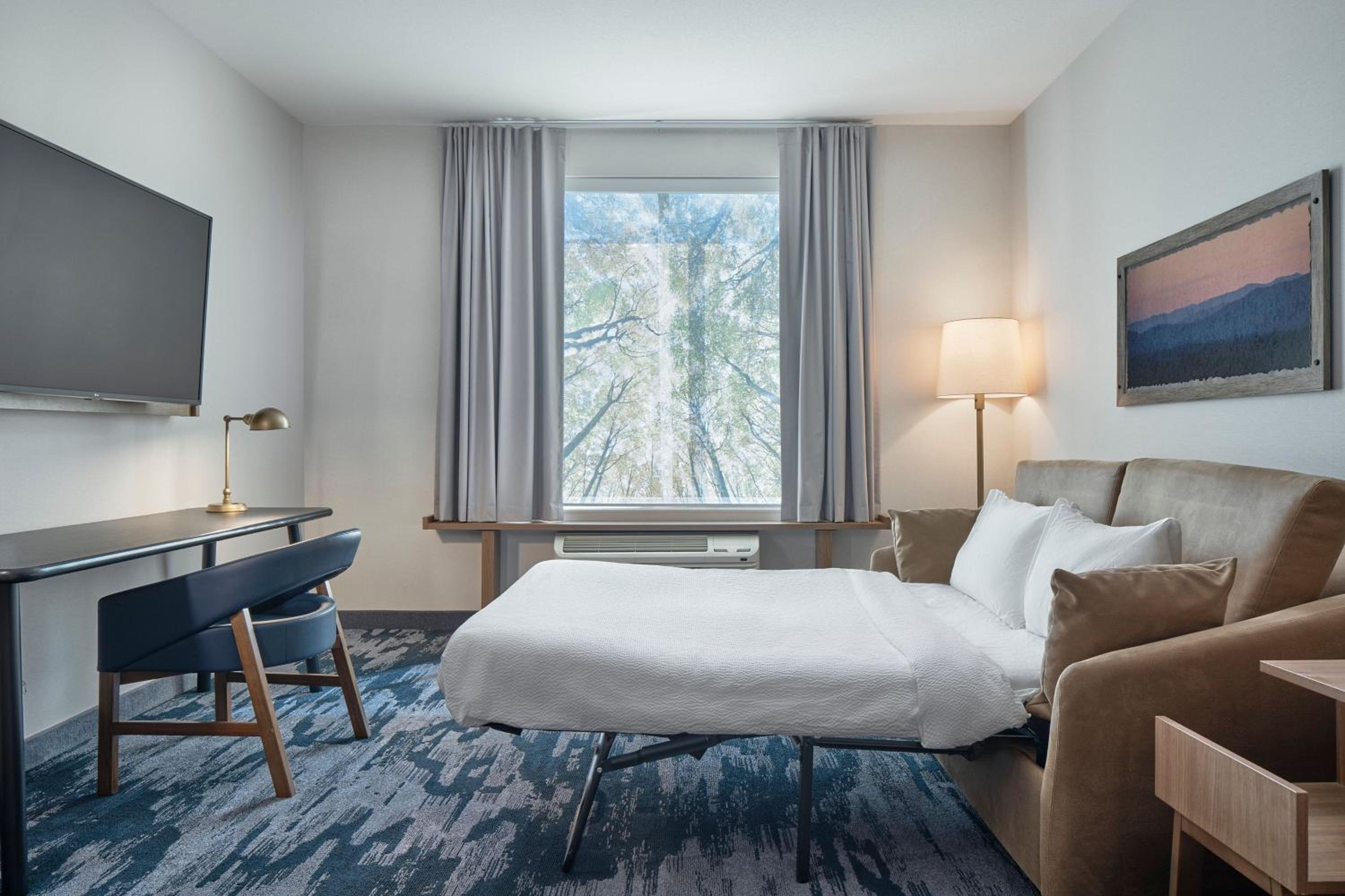 Studio with King Bed, Roll-In Shower and Sofa Bed - Mobility Access/Hearing Accessible photo 2