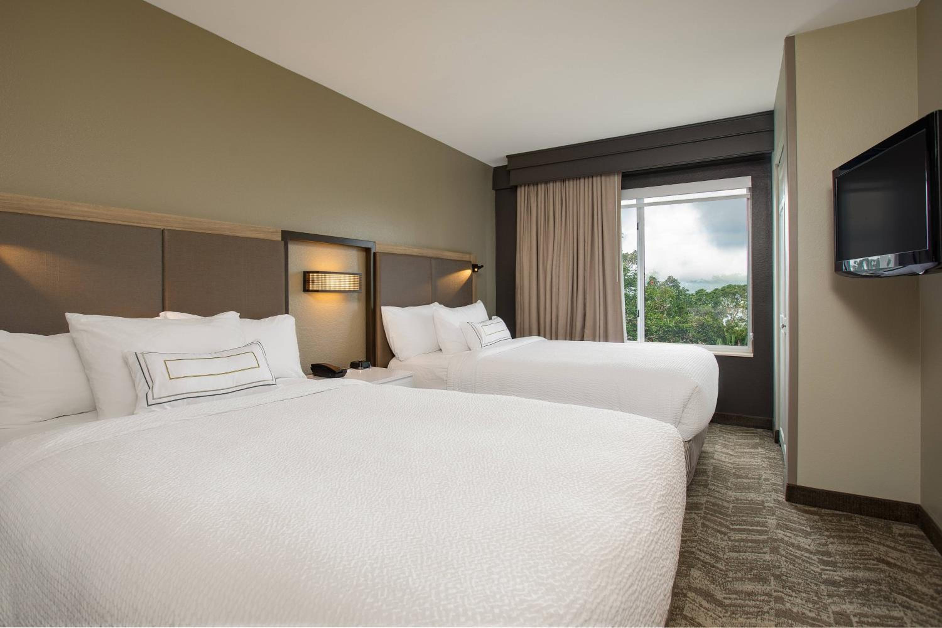 Suite with Roll-in Shower - Mobility and Hearing Accessible