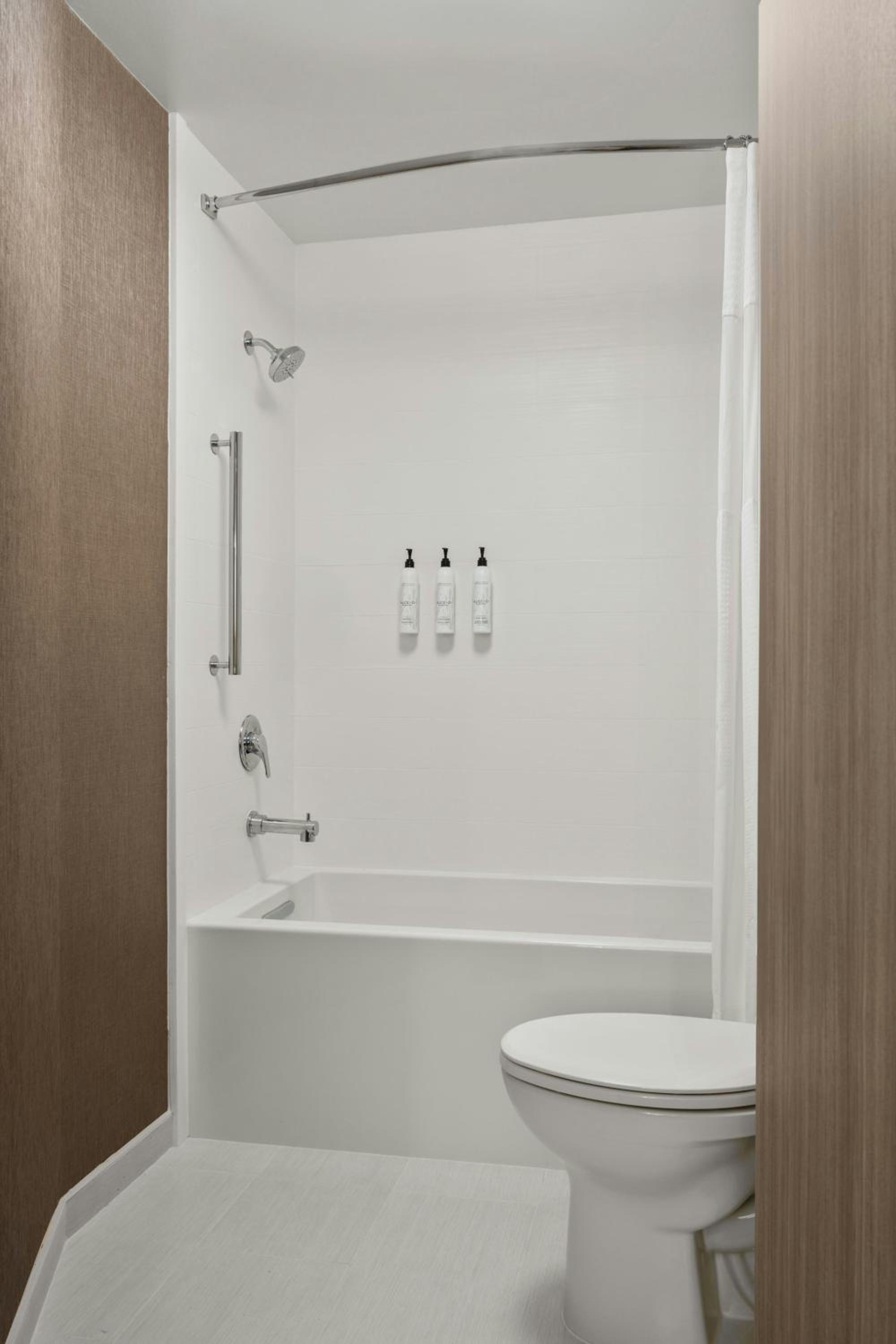 Suite with Roll-in Shower - Mobility and Hearing Accessible