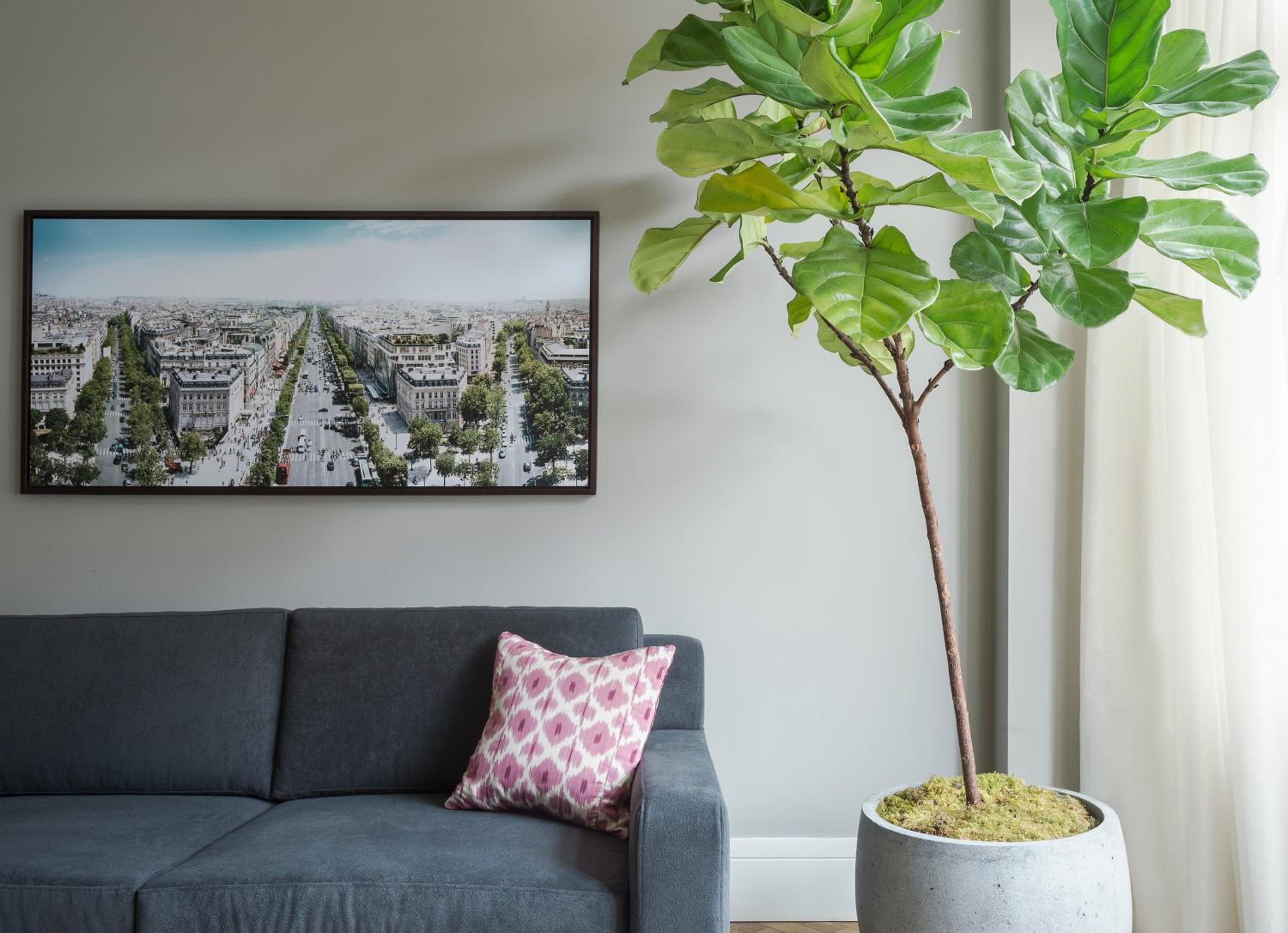 Three Bedroom Penthouse