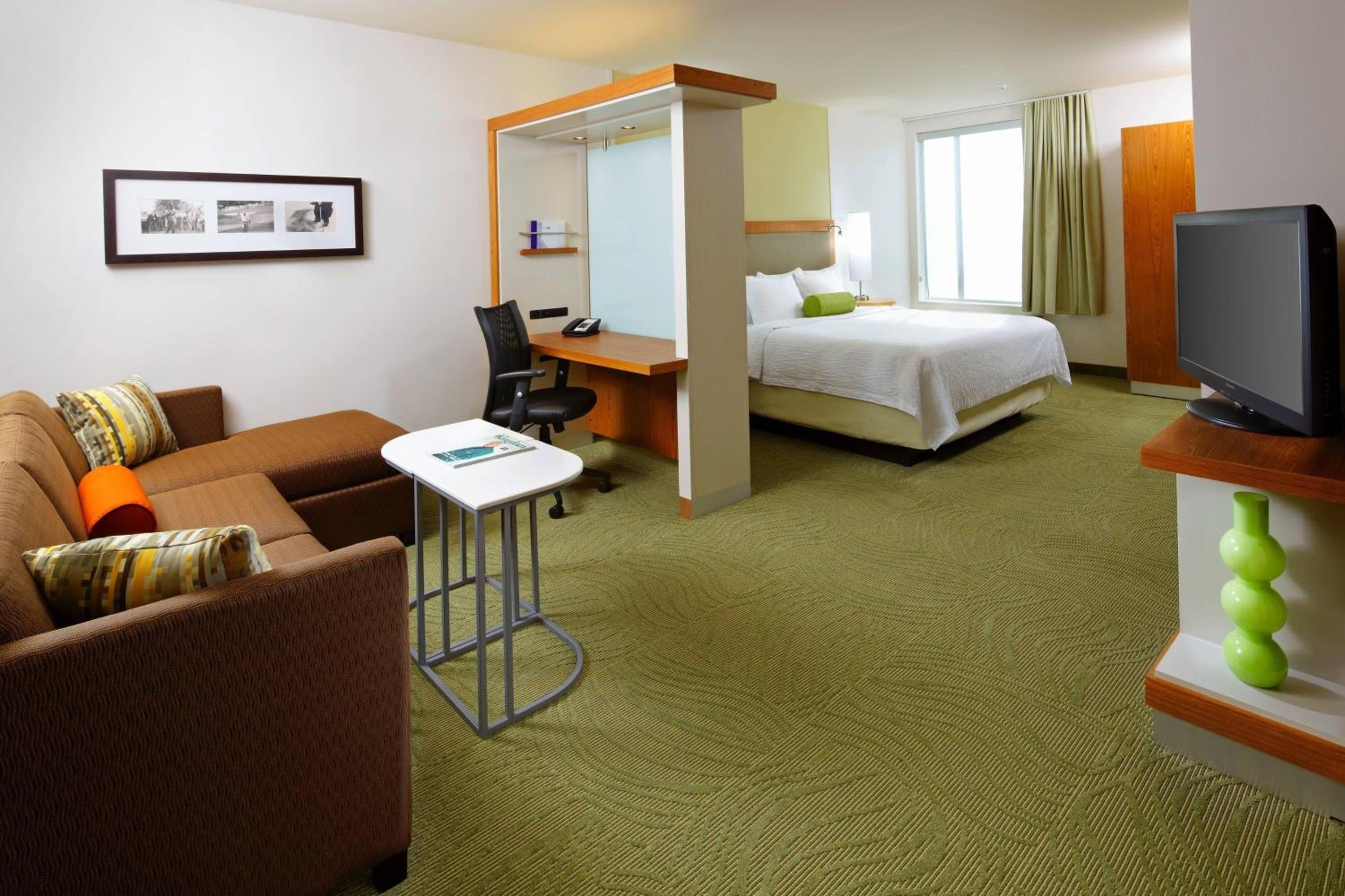 King Suite with Roll-In Shower and Trundle Sofa - Mobility Access - Photo 1