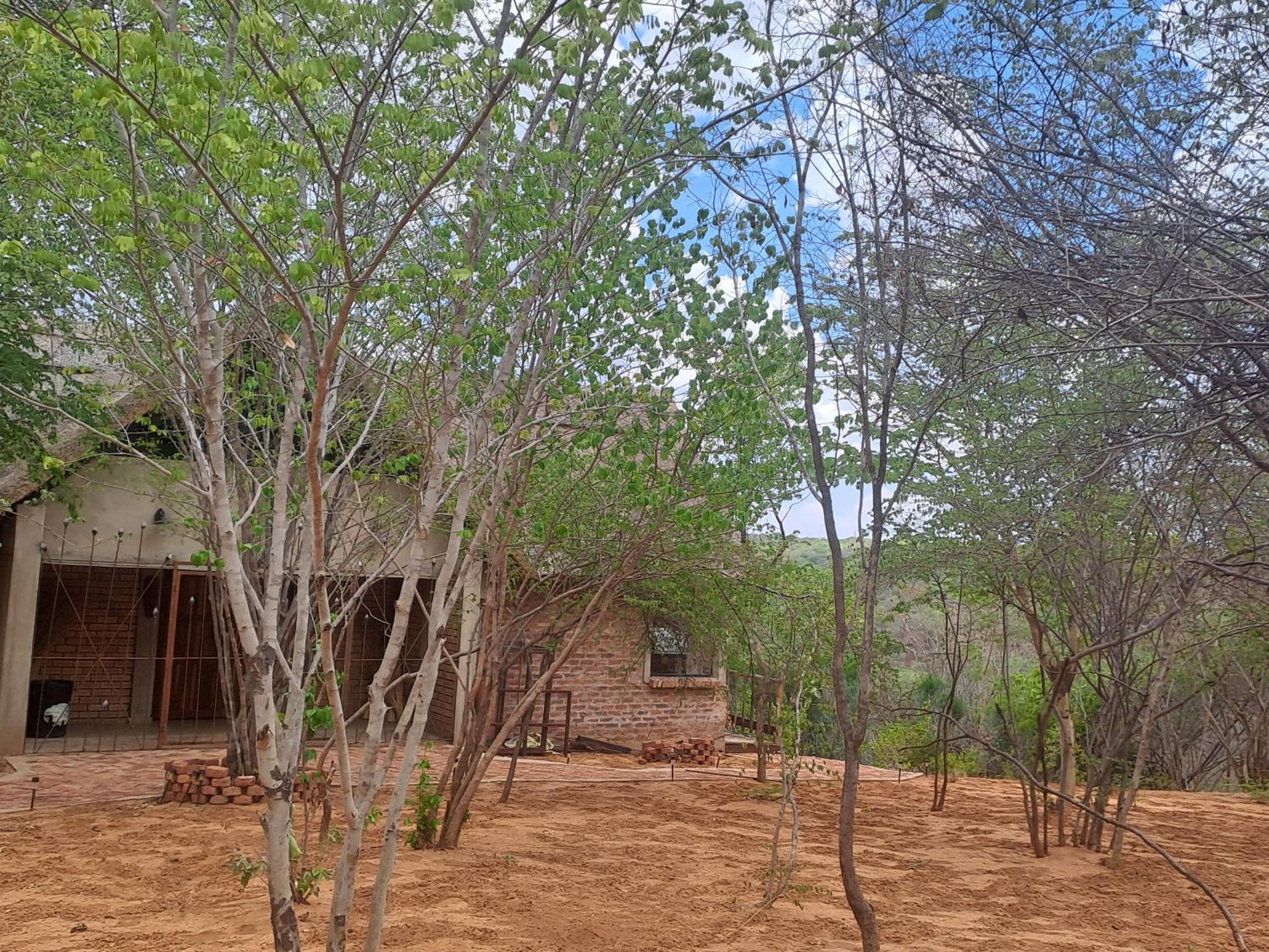 Superior Double or Twin Room with Garden View photo 1