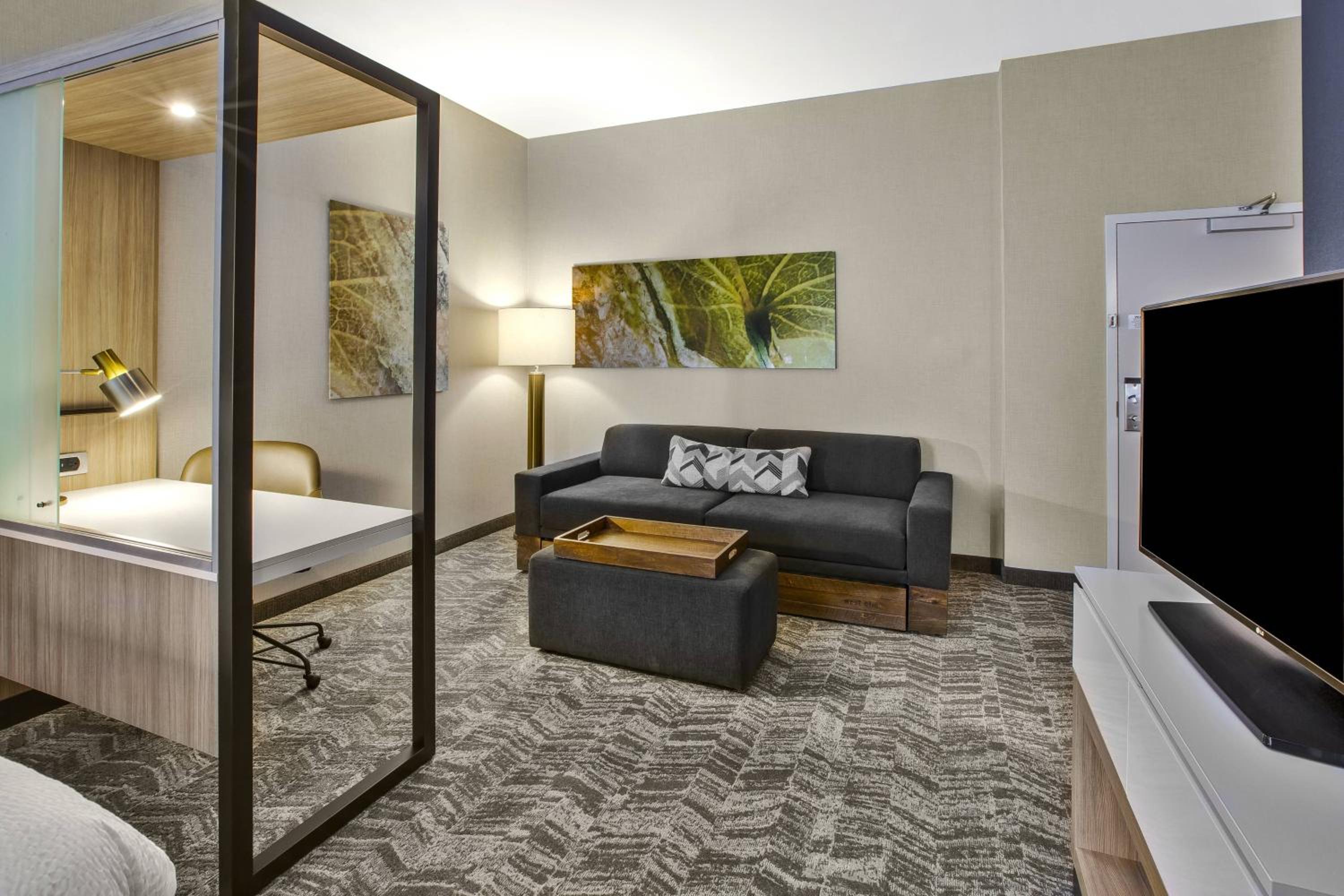 King Suite with Trundle Sofa - Hearing Accessible photo 2