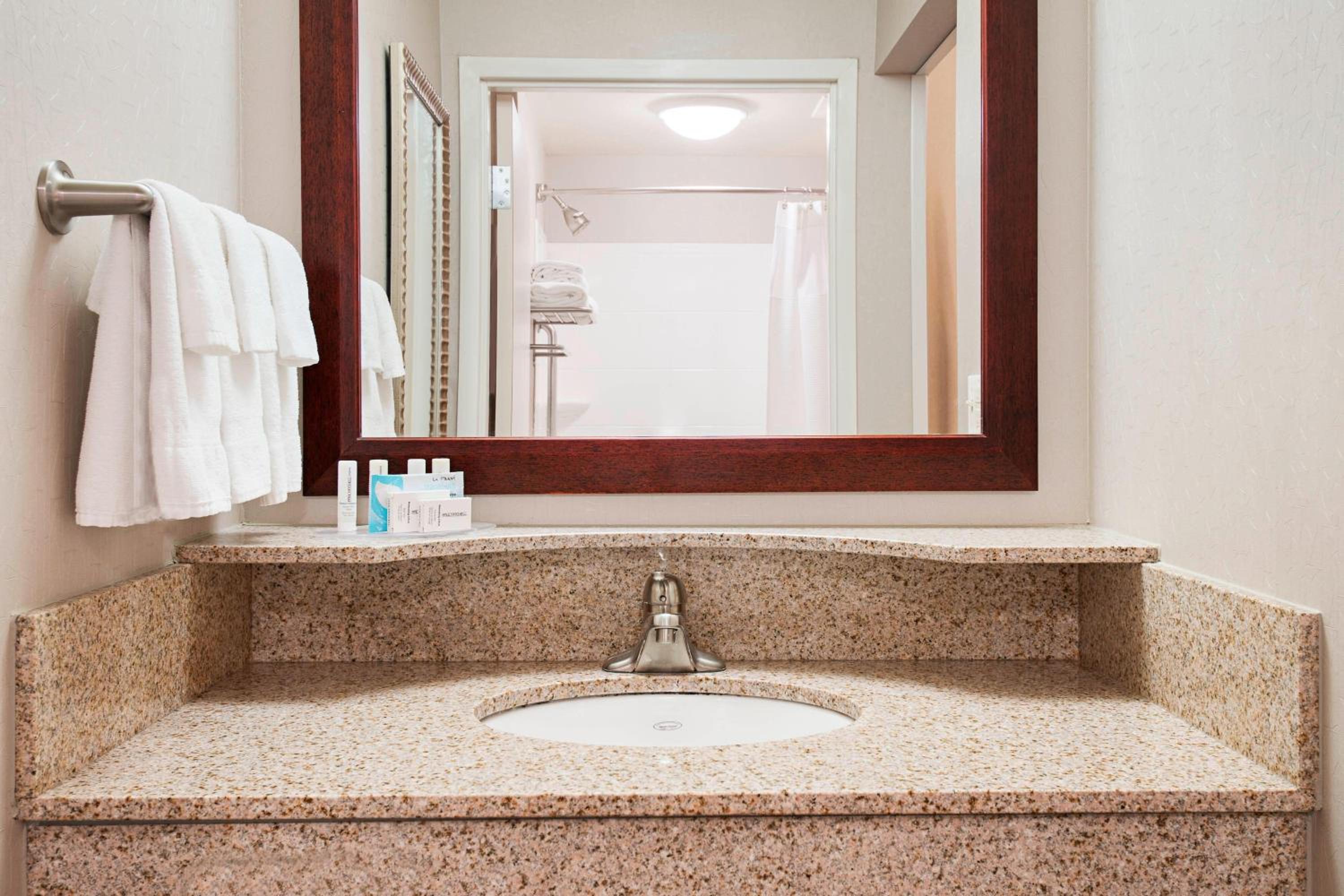 Queen Suite with Sofa Bed and Roll-in Shower - Mobility and Hearing Accessible photo 3