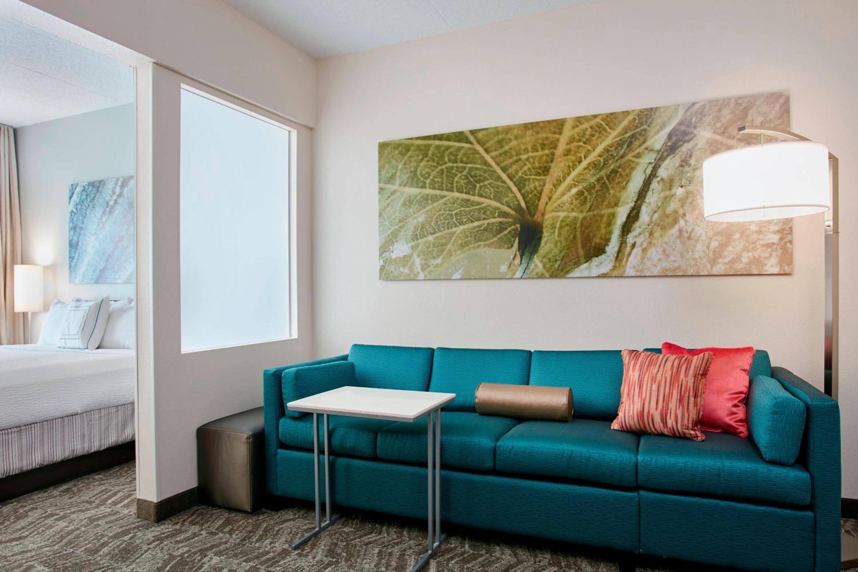 King Suite with Sofa Bed - Hearing Accessible photo 2