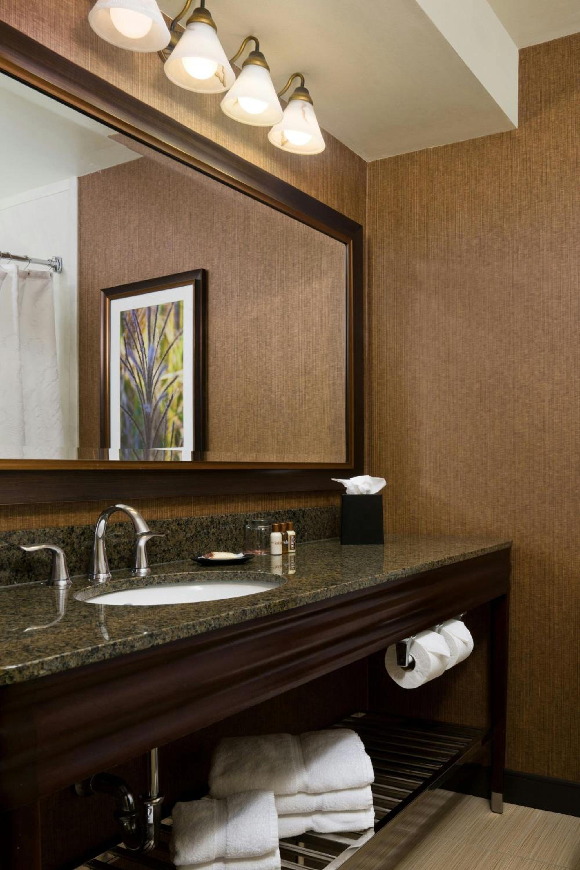 Larger King Room - Mobility Accessible with Tub photo 2