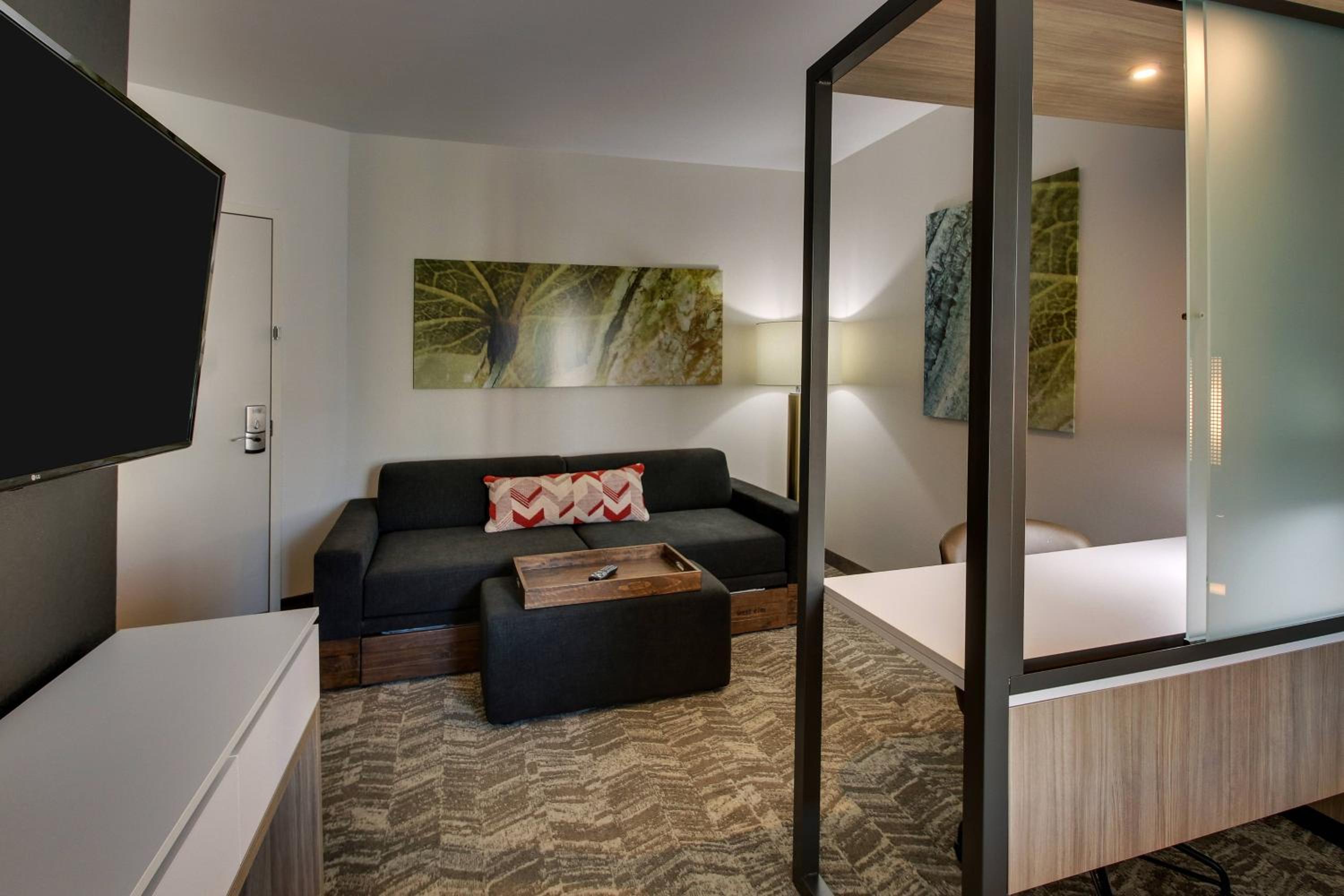 Suite, King, Sofa bed (Mobility Accessible w/ Tub) - Photo 1