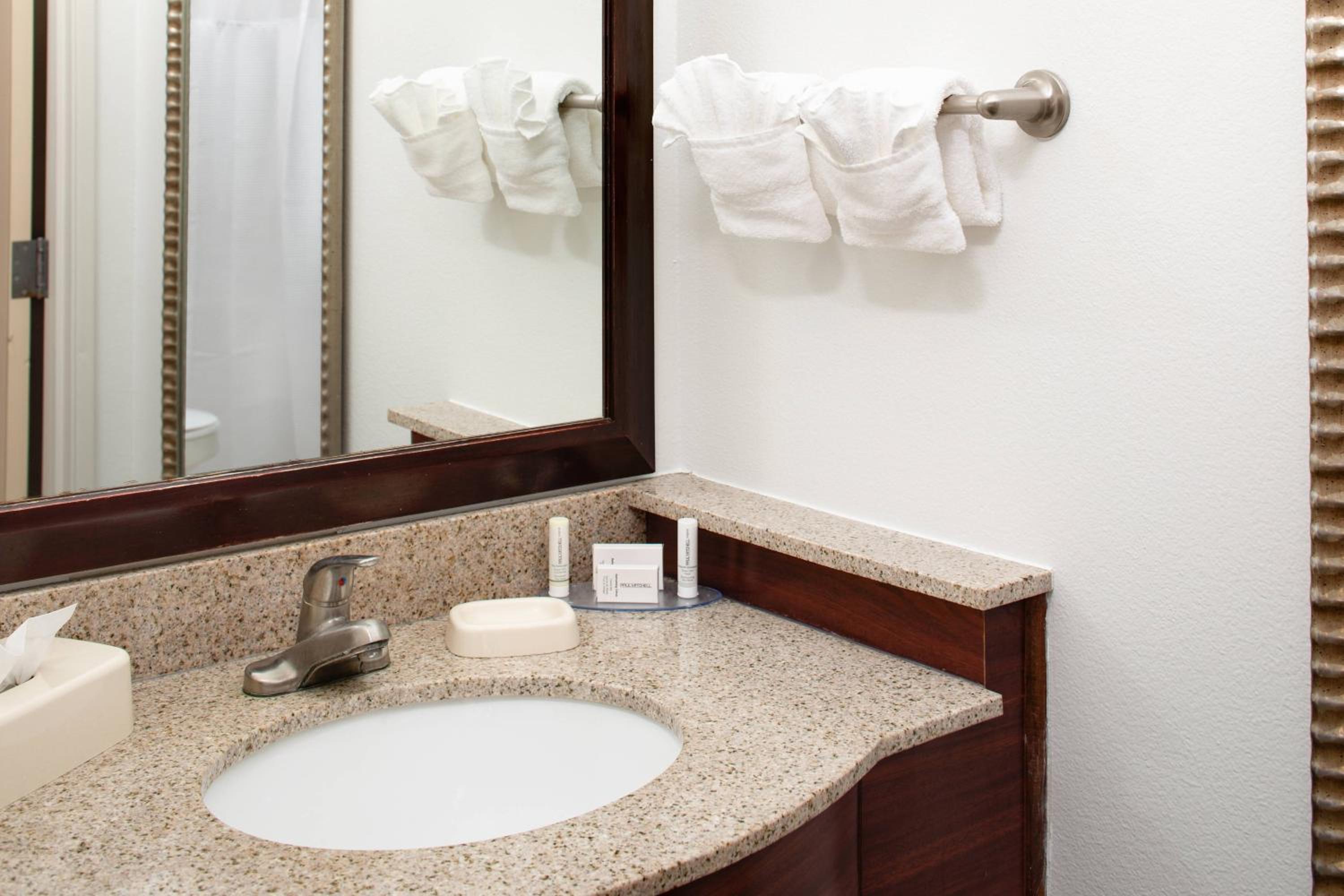 King Suite with Bathtub and Sofa Bed - Mobility Access - Photo 6