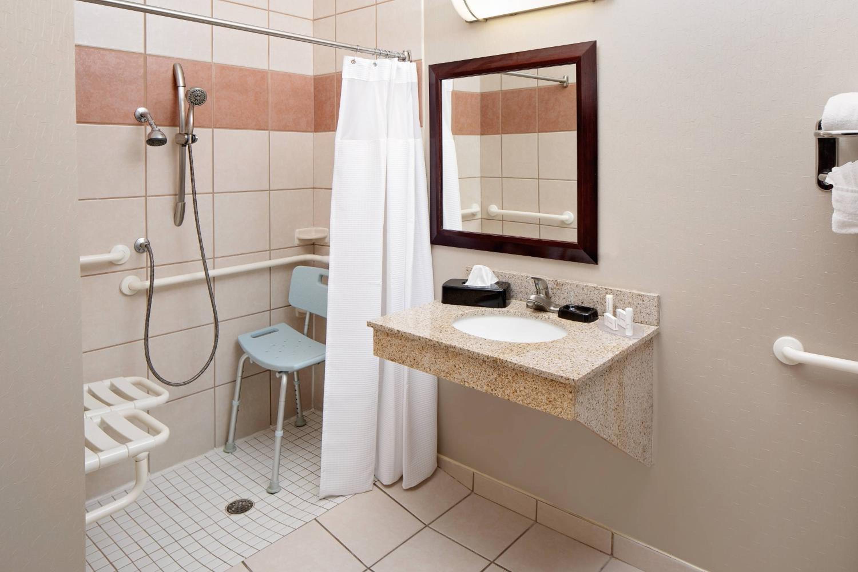 King Suite with Bathtub and Sofa Bed - Mobility Access - Photo 5