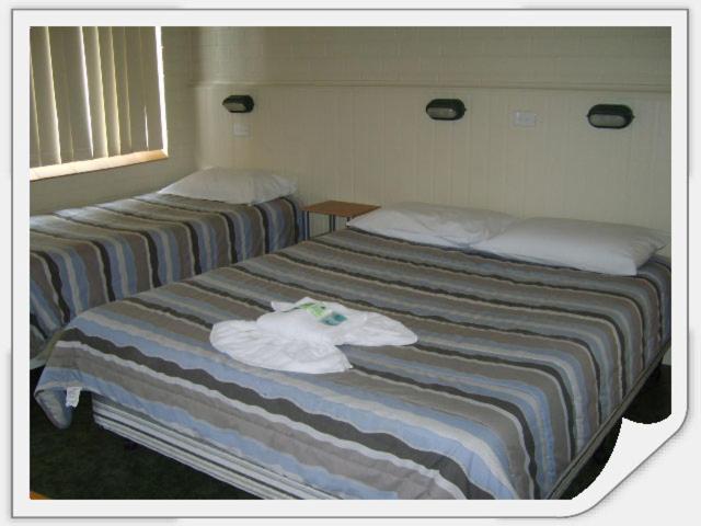 Triple Room - No Pets photo 2