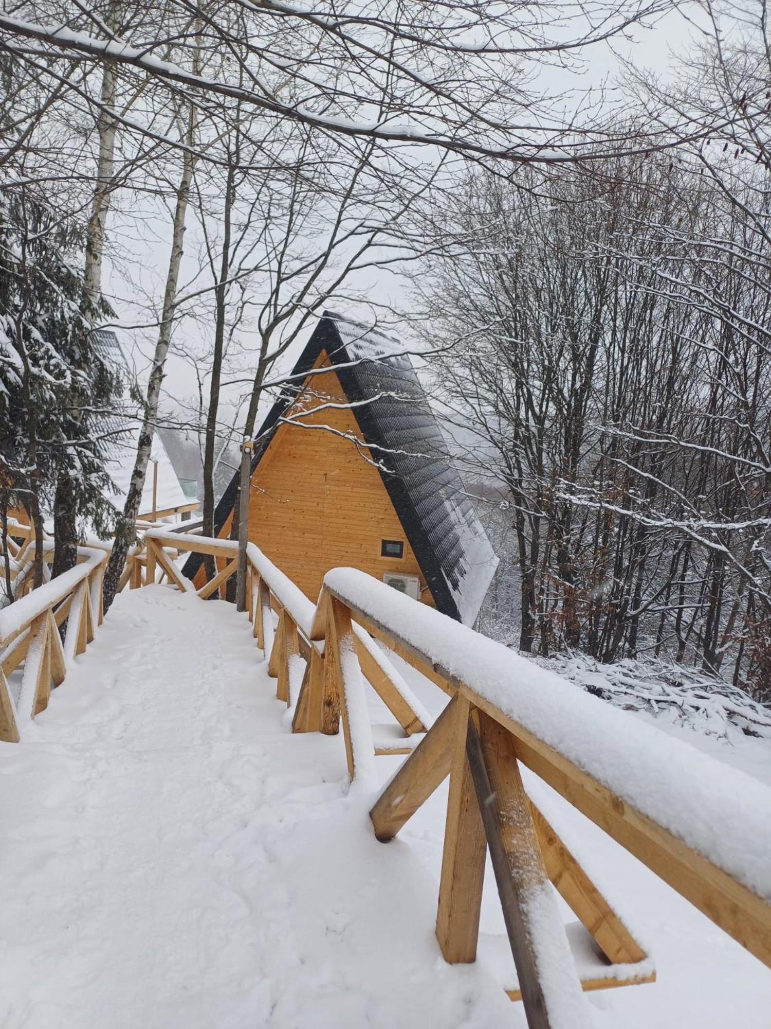 Chalet 1 photo 2