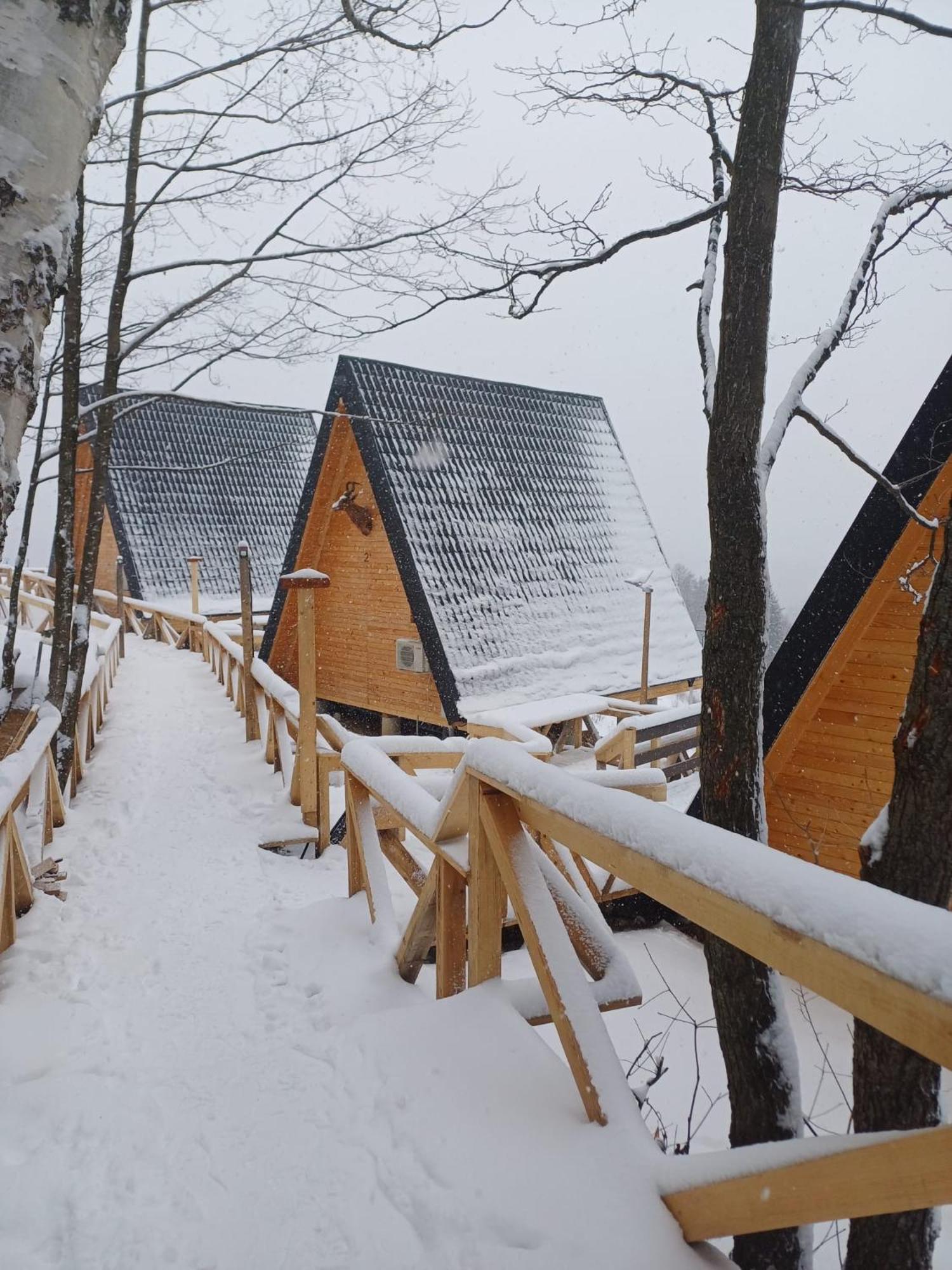 Chalet 1 photo 1