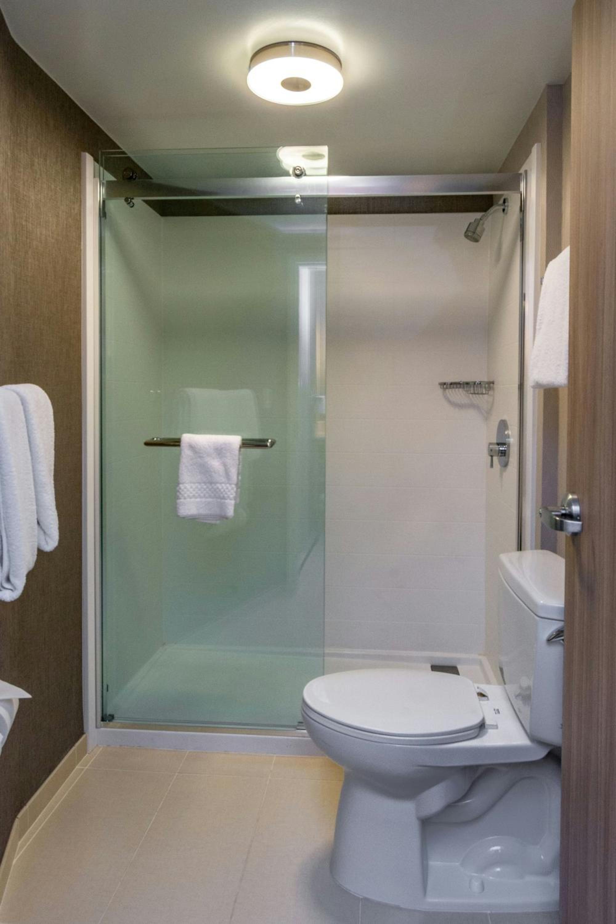 King Suite with Sofa Bed - Hearing Accessible - Photo 12