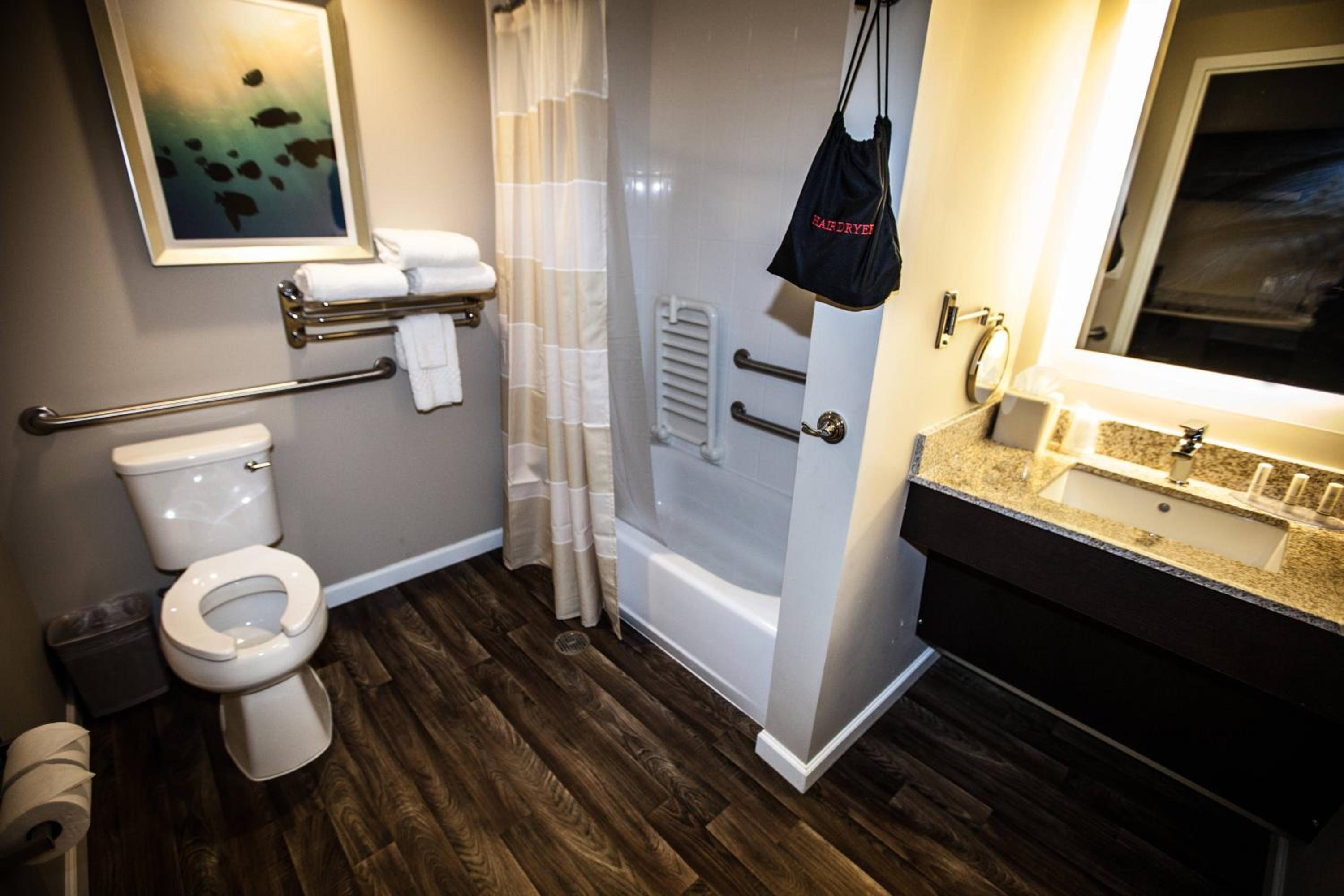 Studio with Sofa Bed/Balcony/Tub - Mobility Accessible