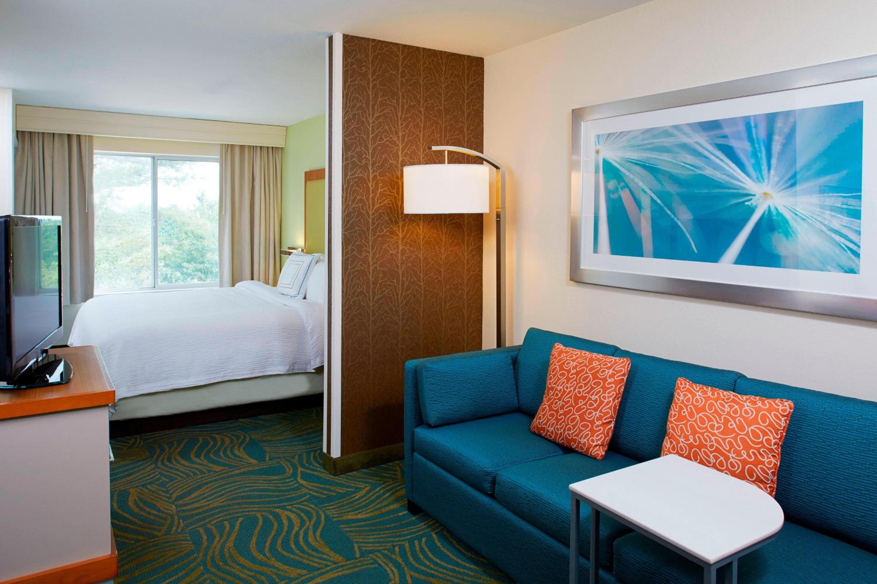 King Suite with Sofa Bed and Adapted Tub - Mobility and Hearing Accessible - Photo 2