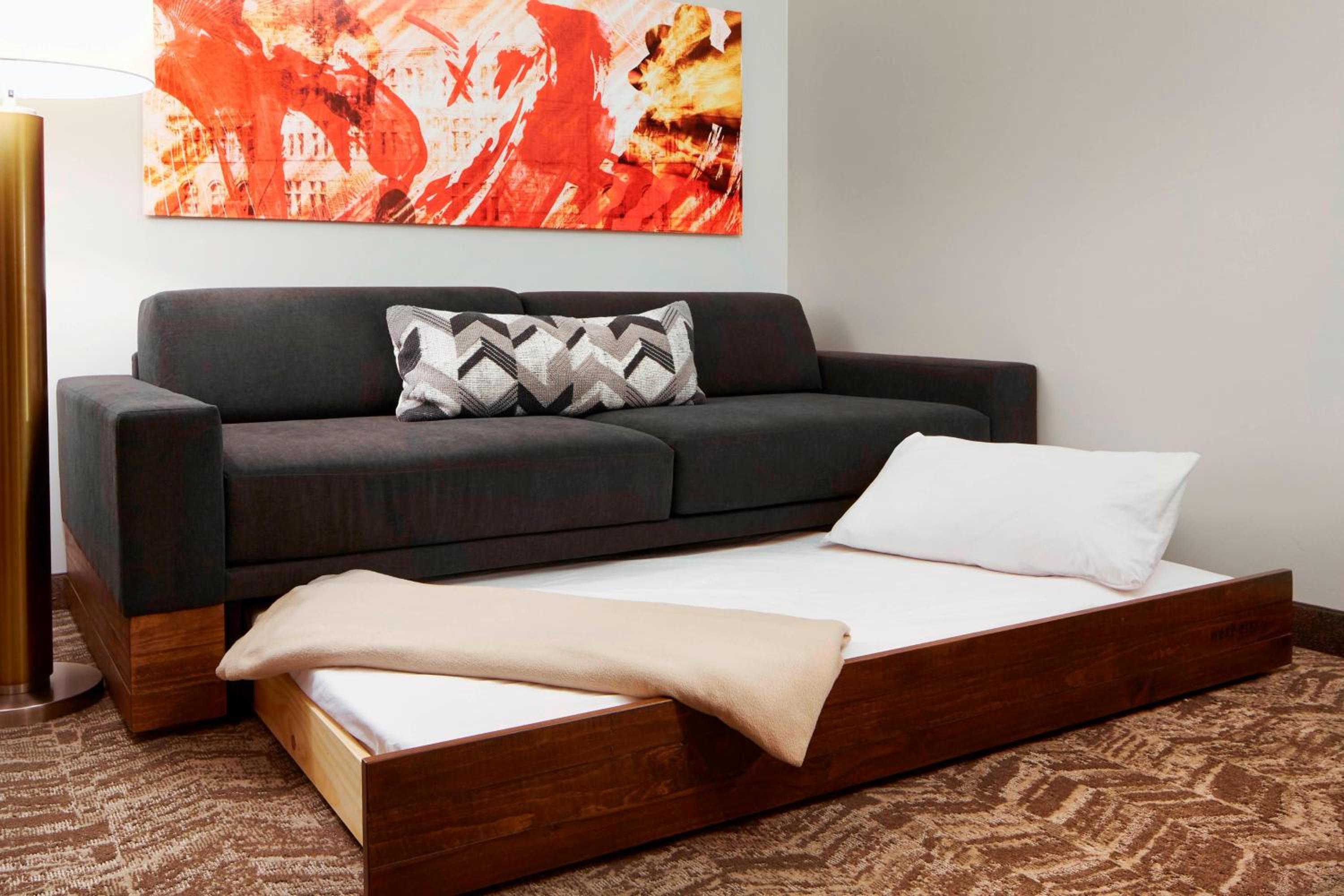 King Suite with Bathtub and Trundle Sofa - Mobility Access/Hearing Accessible - Photo 6