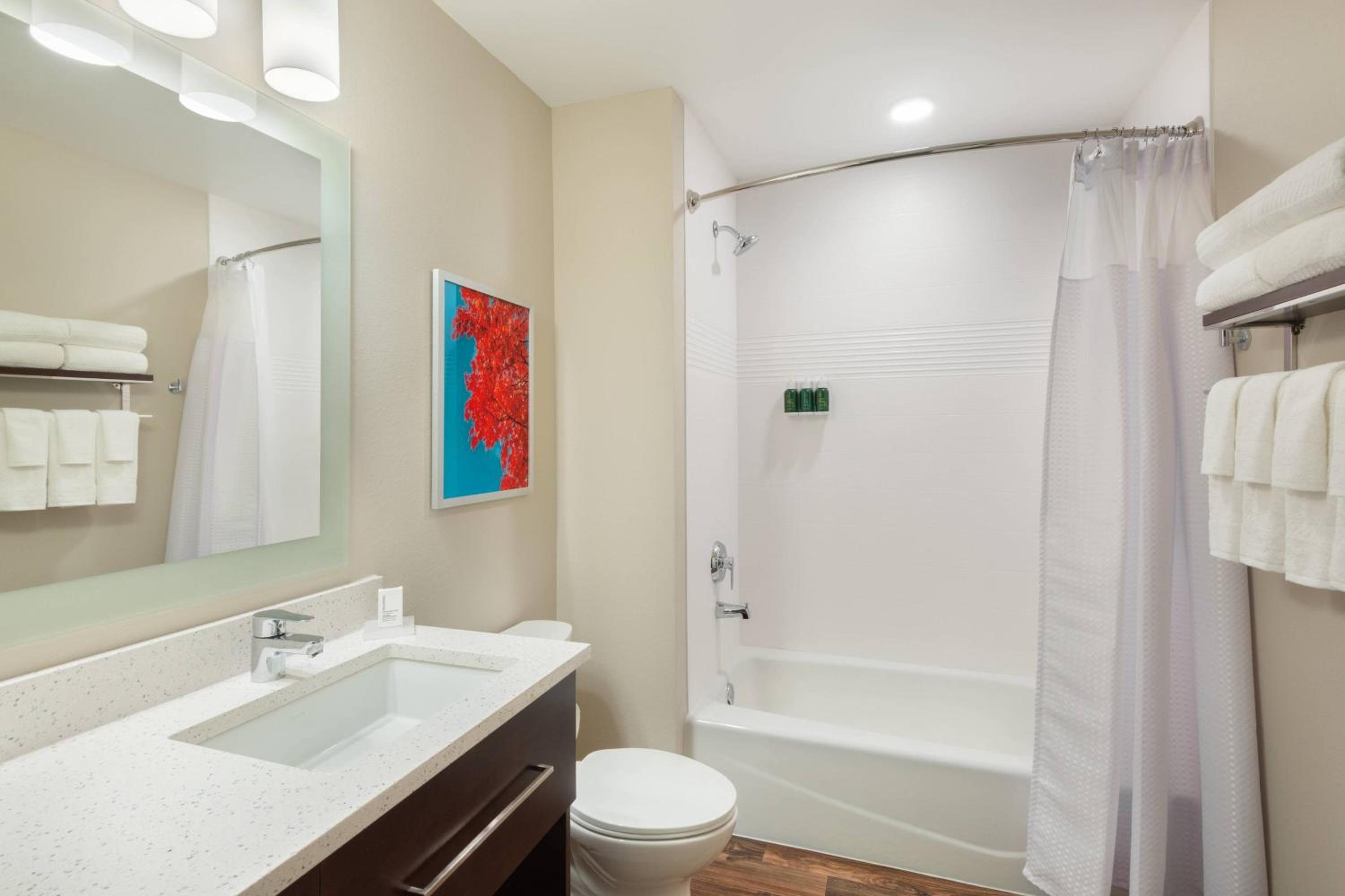 Queen Studio with Adapted Tub - Mobility Accessible photo 2