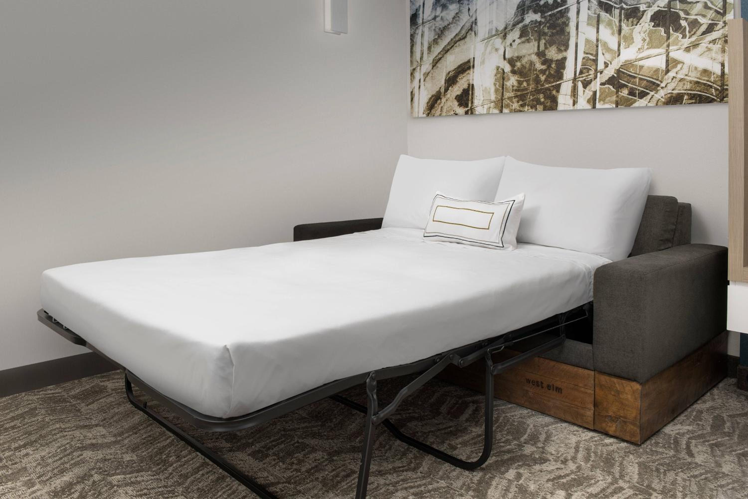 King Suite with Roll-In Shower and Sofa Bed - Mobility Access - Photo 3