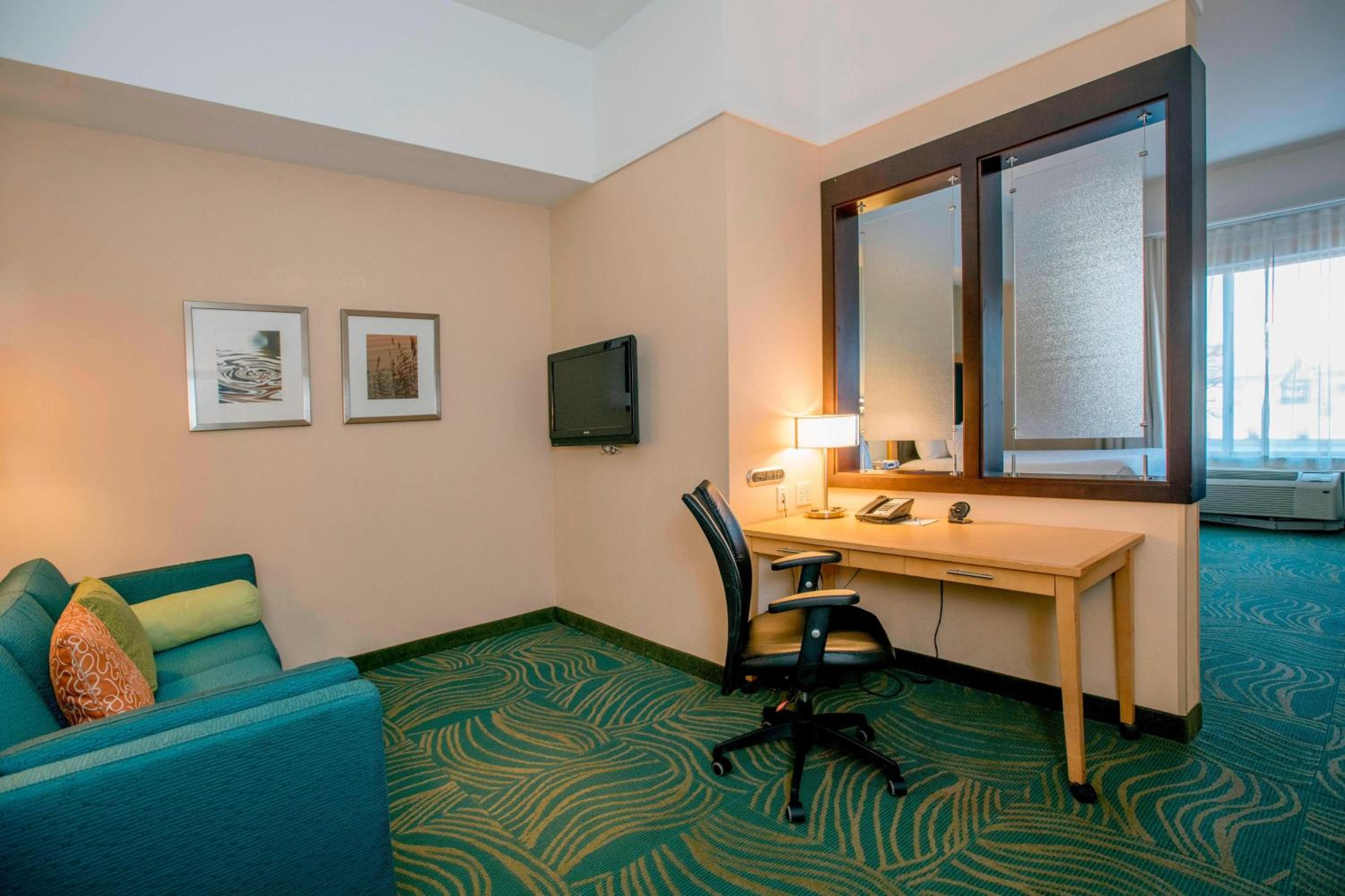 King Studio with Sofa Bed and Roll-in Shower - Mobility and Hearing Accessible - Photo 3