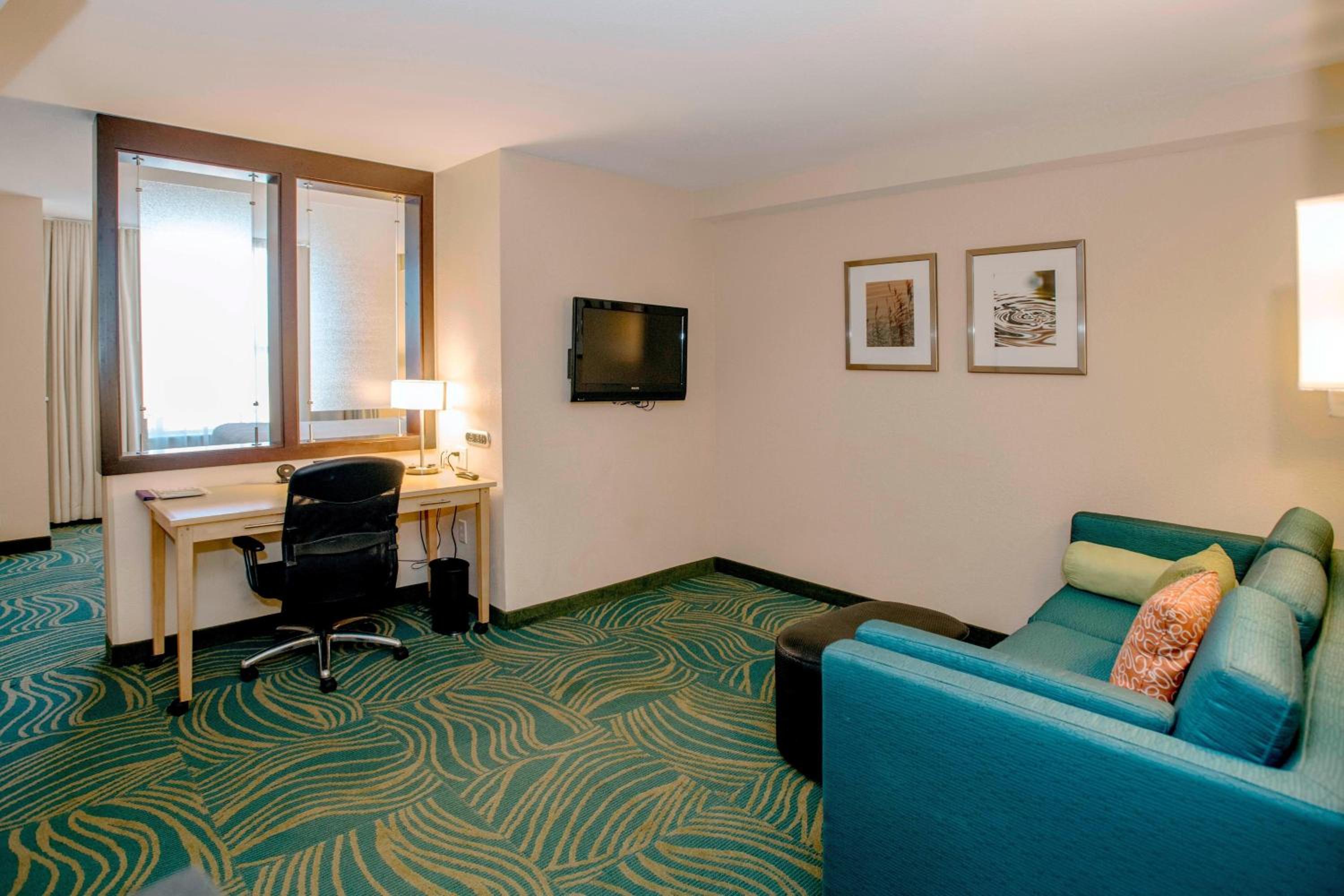 King Studio with Sofa Bed and Roll-in Shower - Mobility and Hearing Accessible - Photo 2