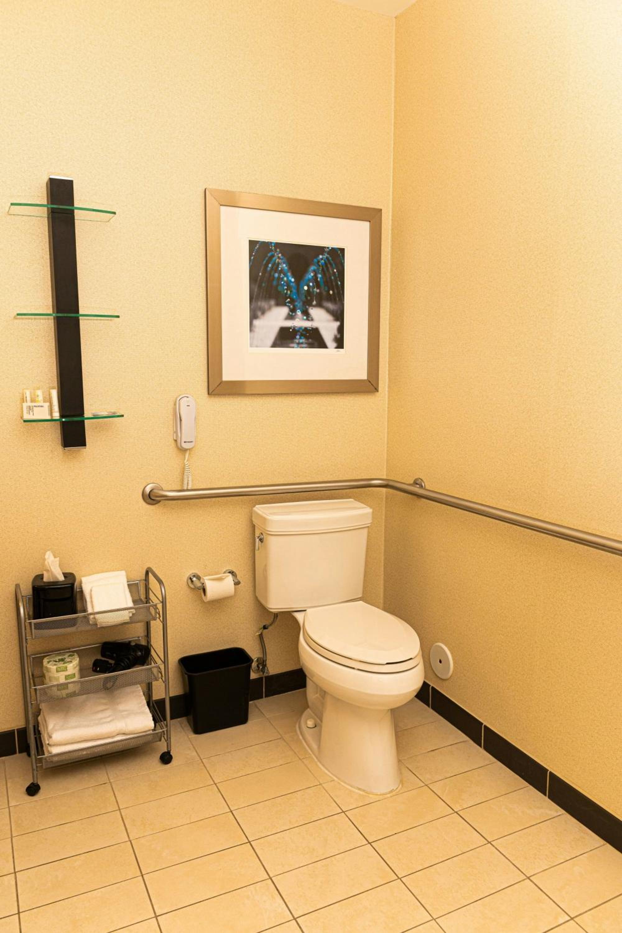 King Studio with Sofa Bed and Roll-in Shower - Mobility and Hearing Accessible - Photo 7