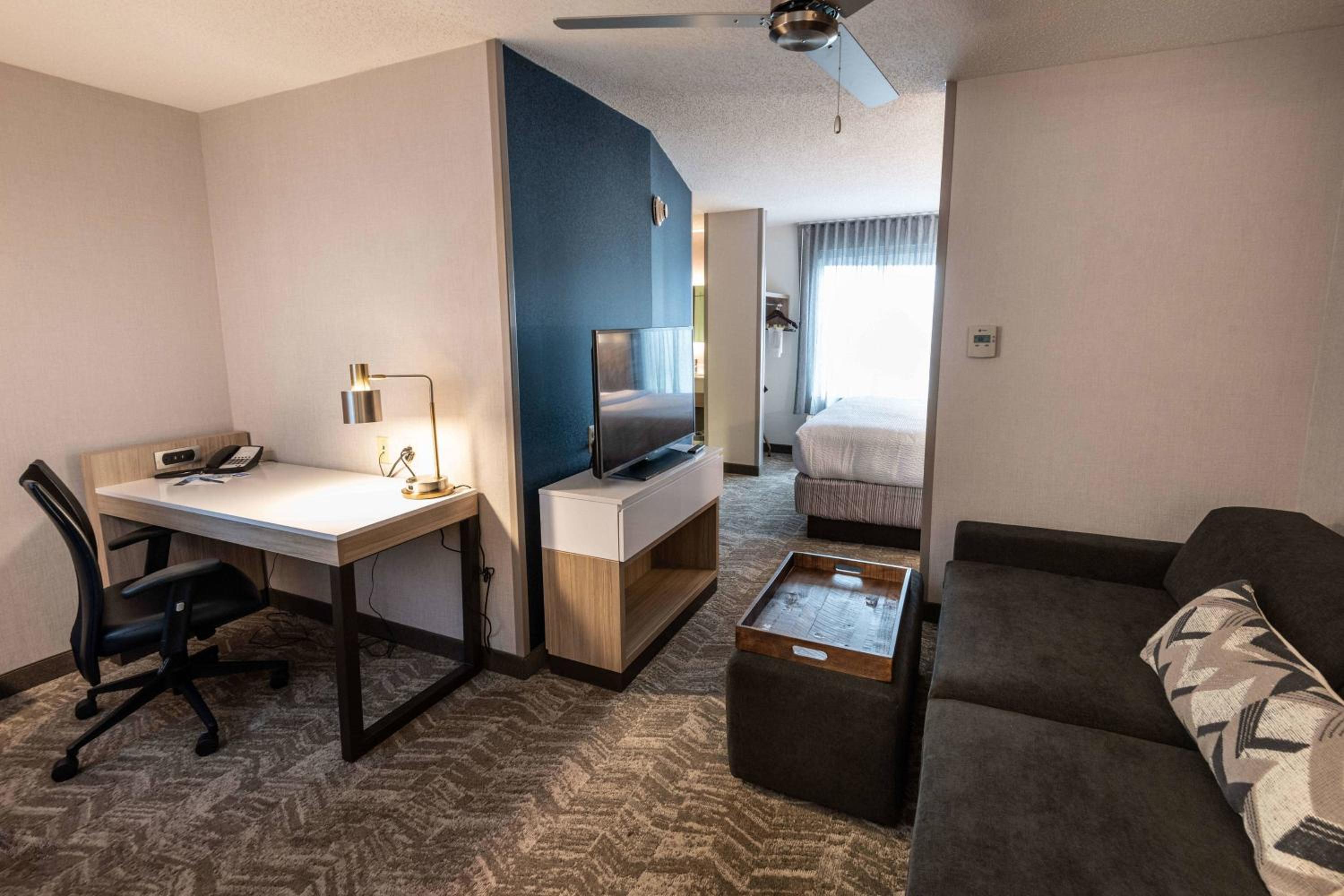 Newly Renovated, Suite, 1 King, Sofa bed (Mobility Accessible w/ Tub) - Photo 1