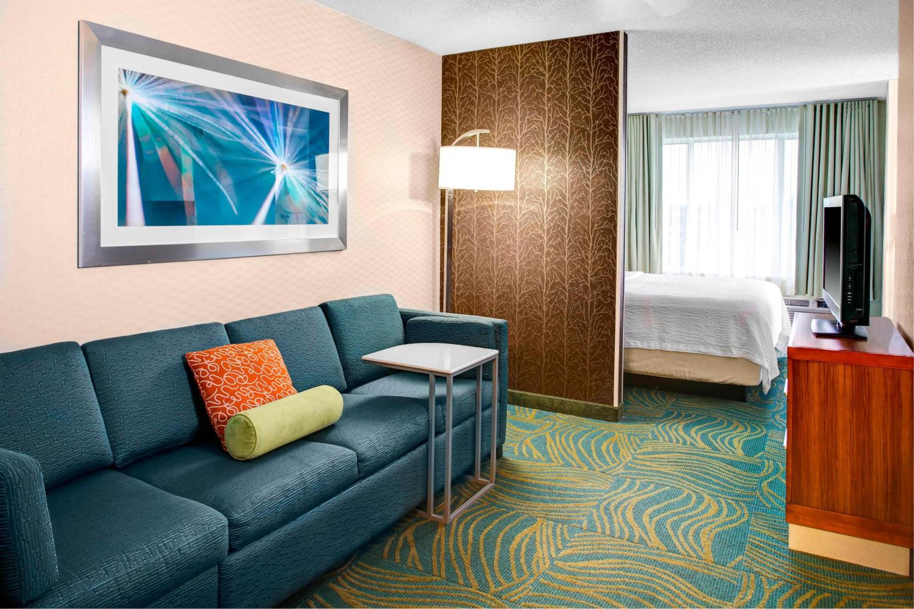 Newly Renovated, Suite, 1 King, Sofa bed (Mobility Accessible w/ Tub) - Photo 3