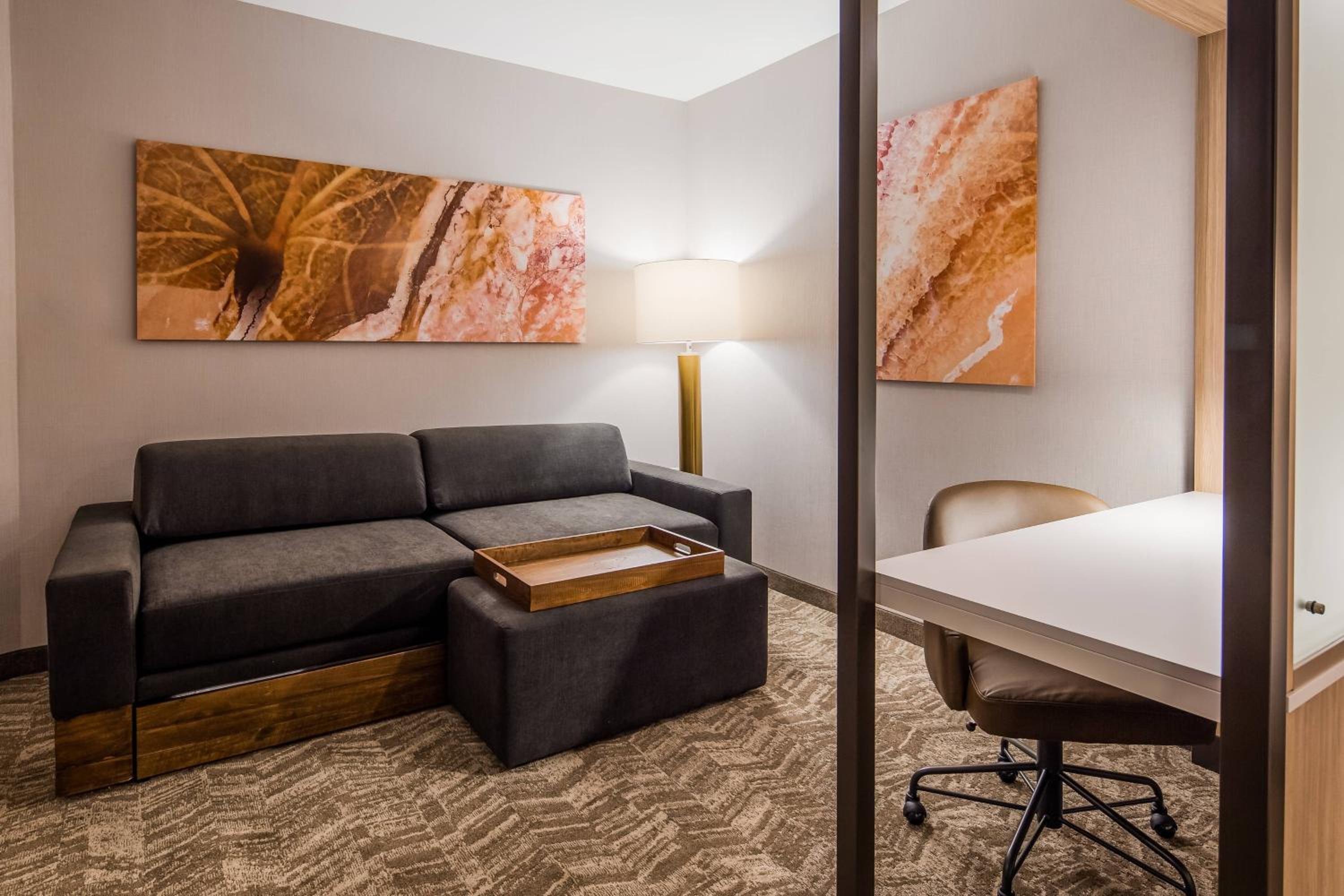 King Suite with Trundle Sofa photo 3