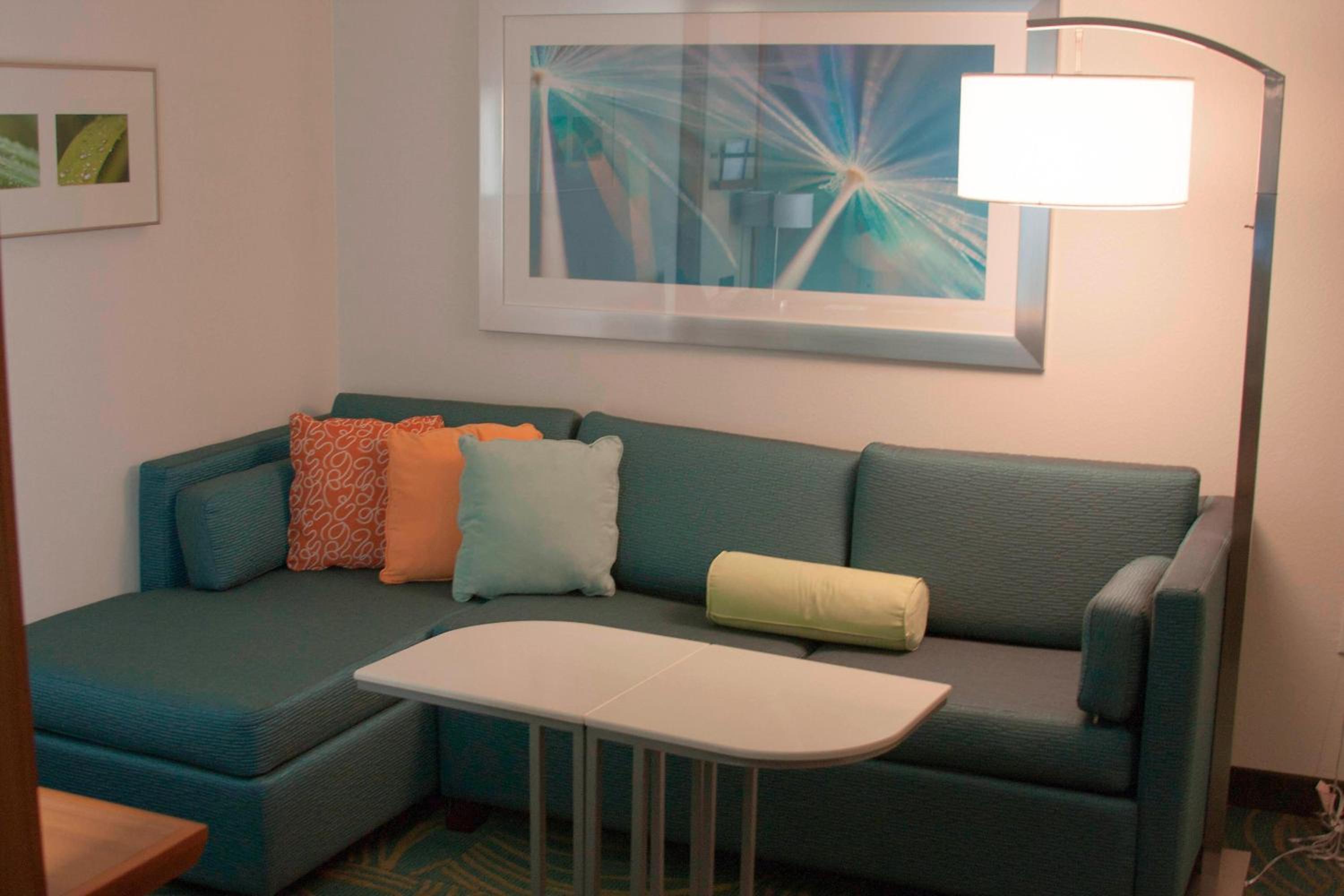 Queen Studio with Sofa Bed - Hearing Accessible photo 2