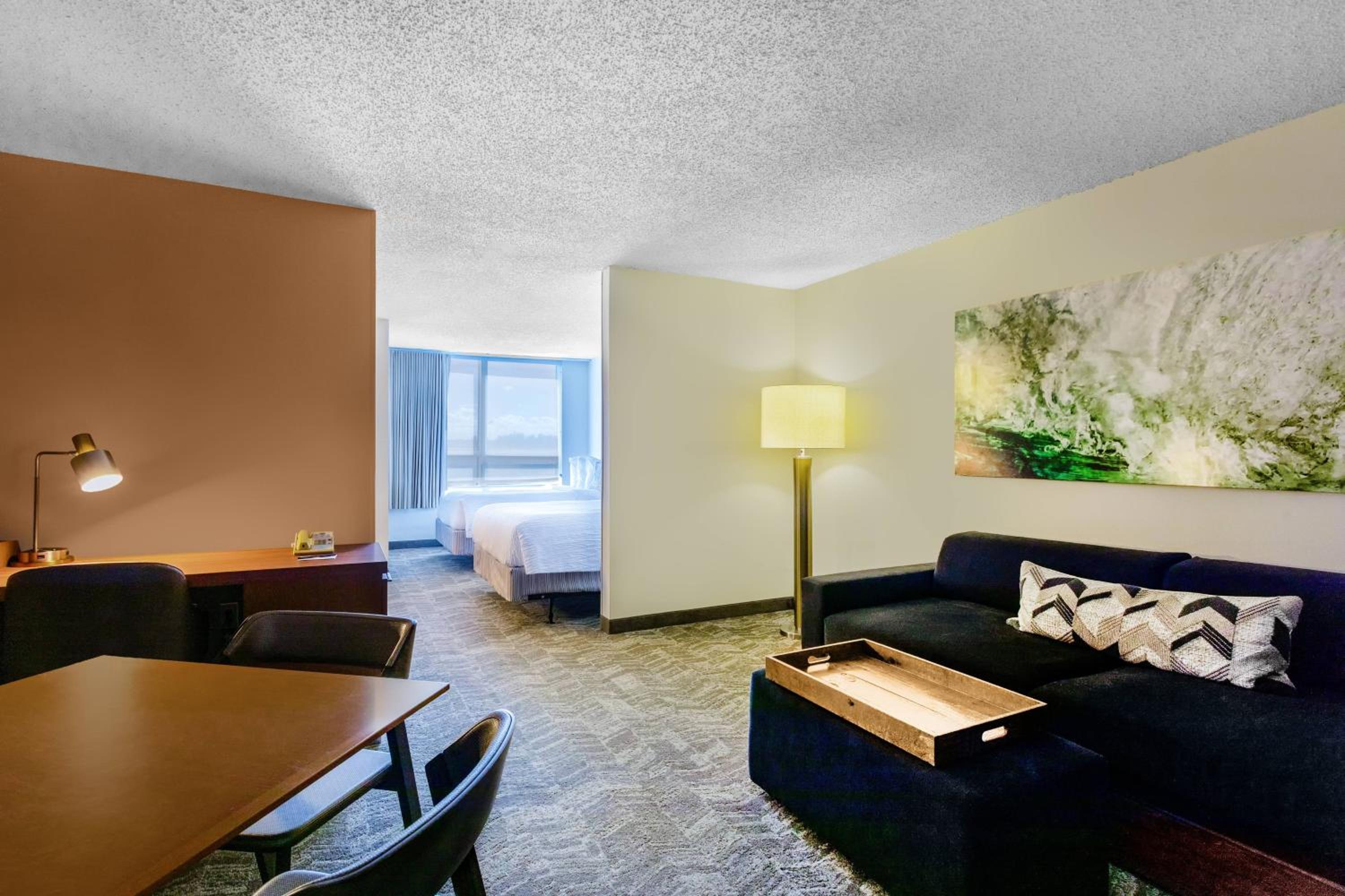 Suite with Roll-in Shower - Mobility and Hearing Accessible