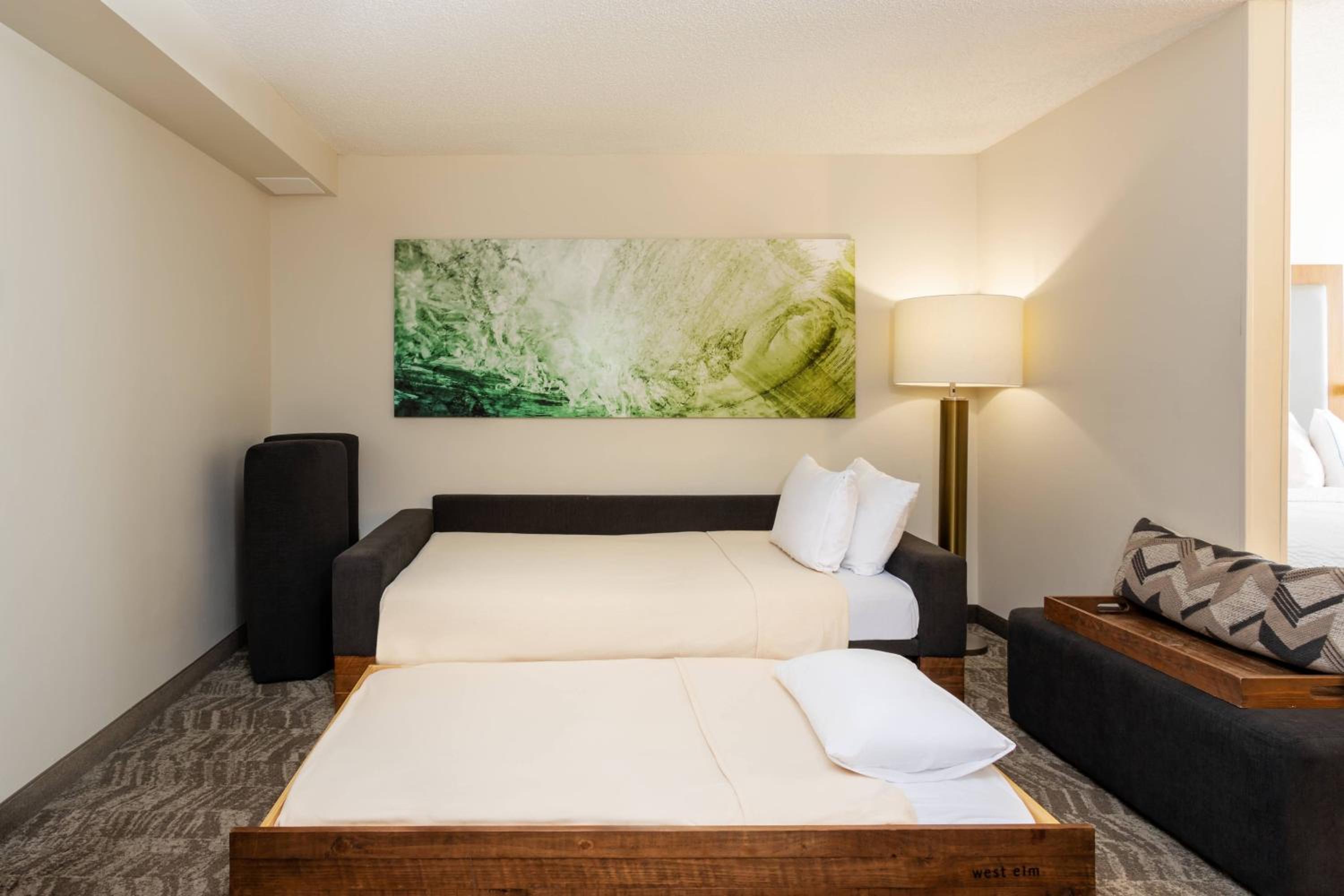 Suite with Roll-in Shower - Mobility and Hearing Accessible