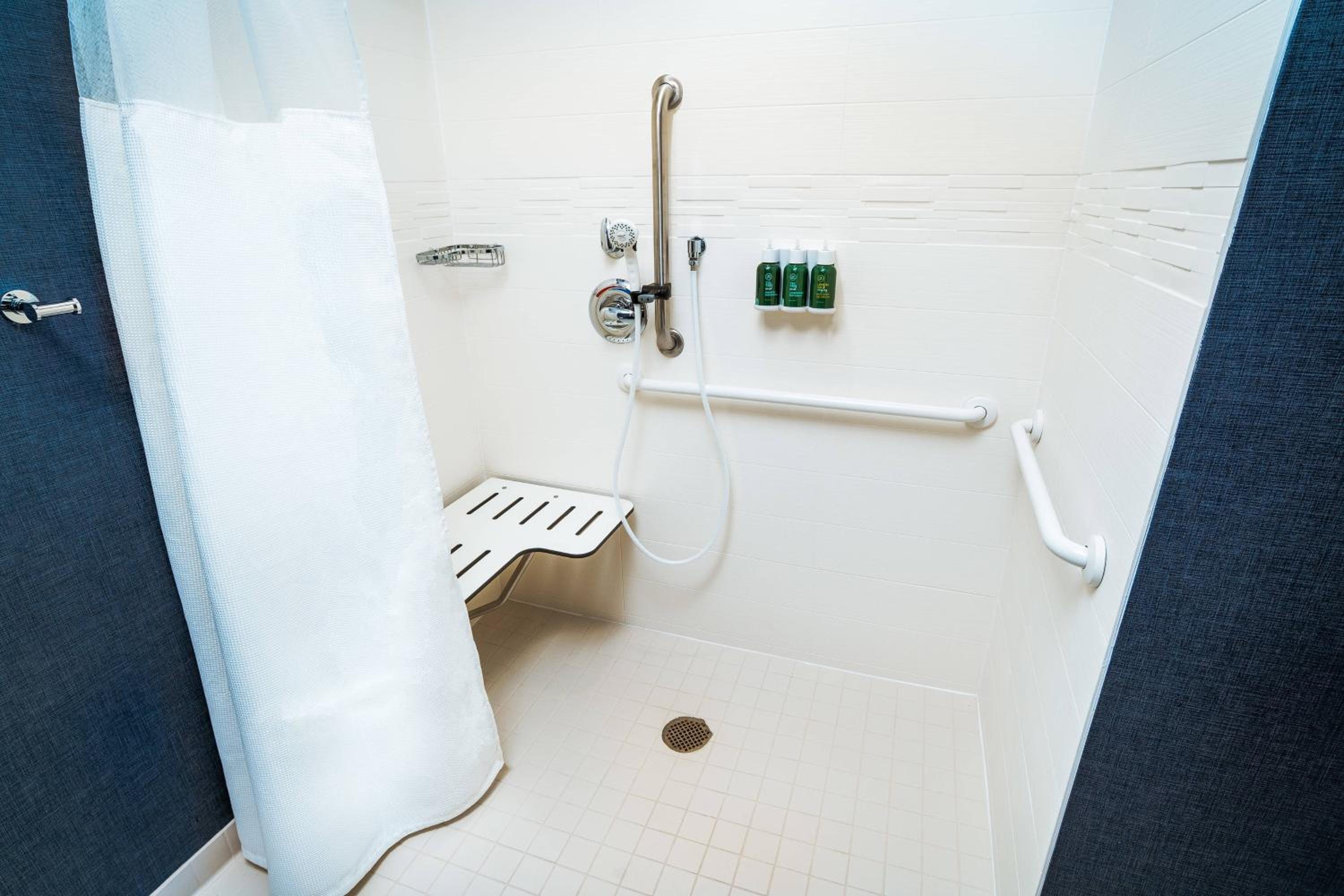 Studio King Suite with Sofa Bed and Roll-in Shower – Mobility Accessible