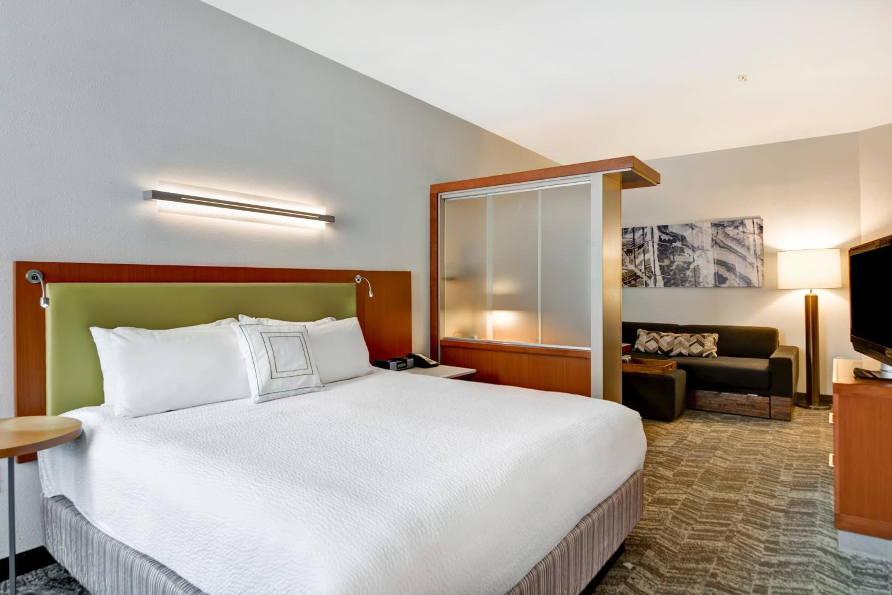 King Suite with Roll-In Shower and Trundle Sofa - Mobility Access/Hearing Accessible - Photo 2