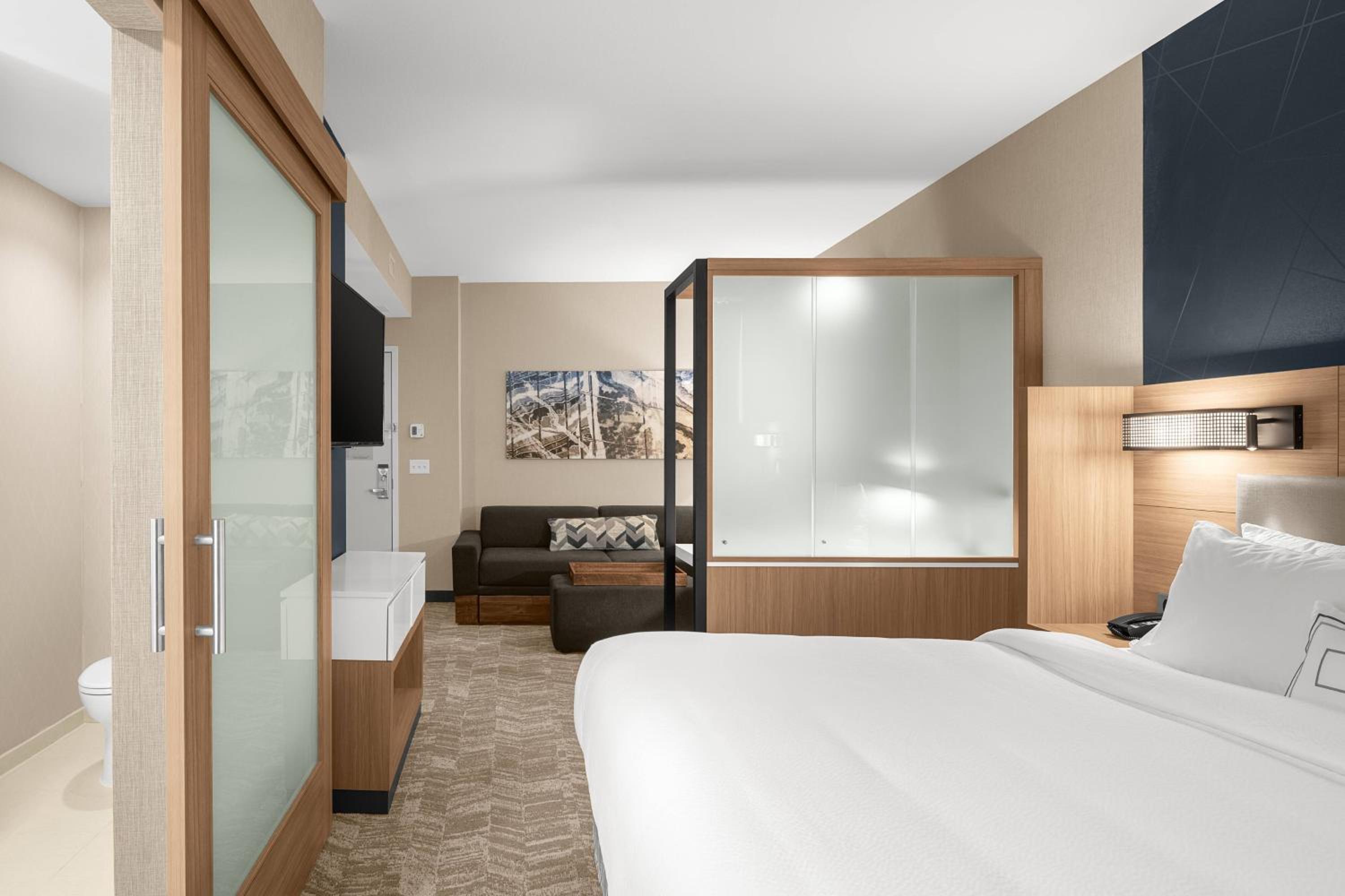 King Suite with Bathtub and Trundle Sofa - Mobility Access - Photo 2